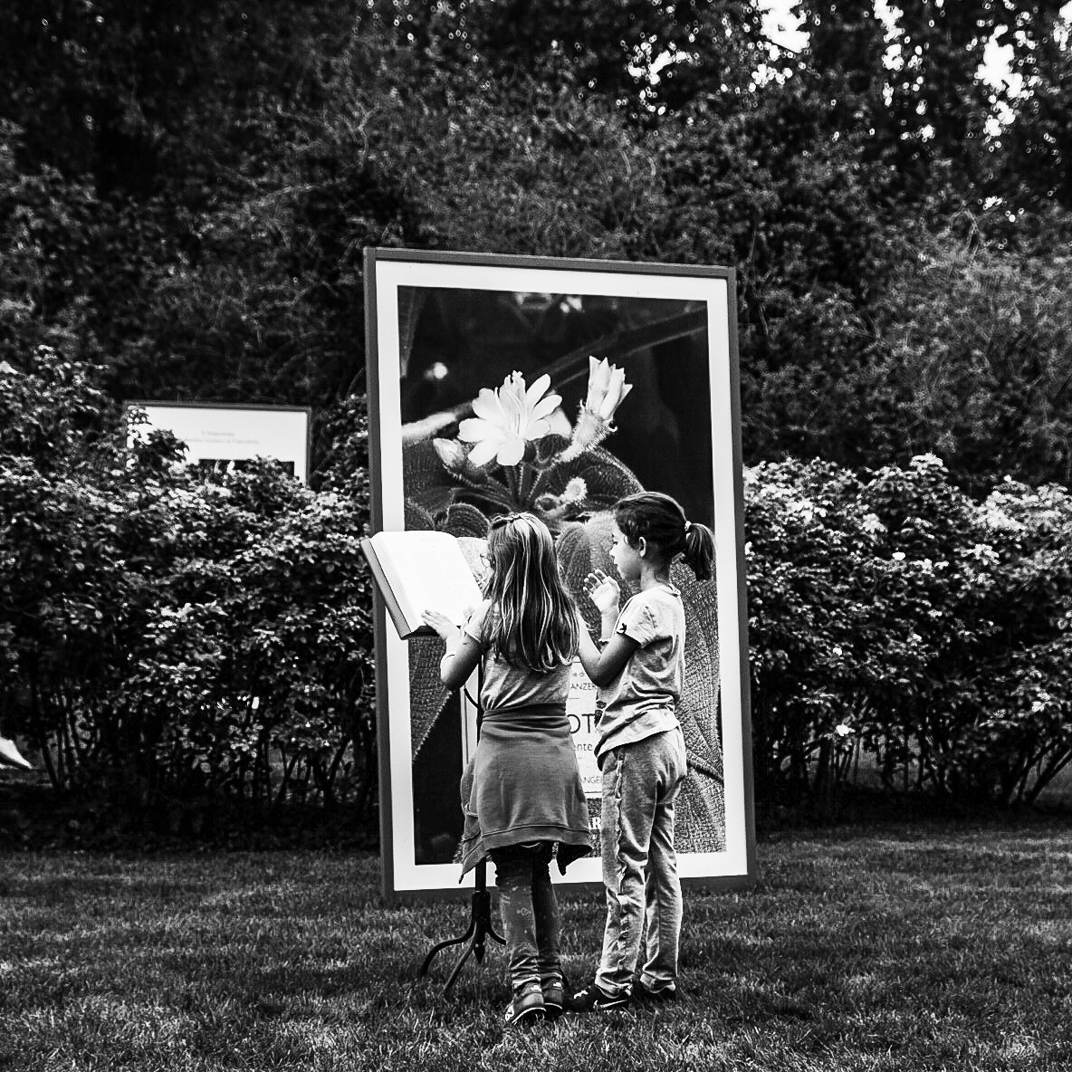 letture all'aria aperta...