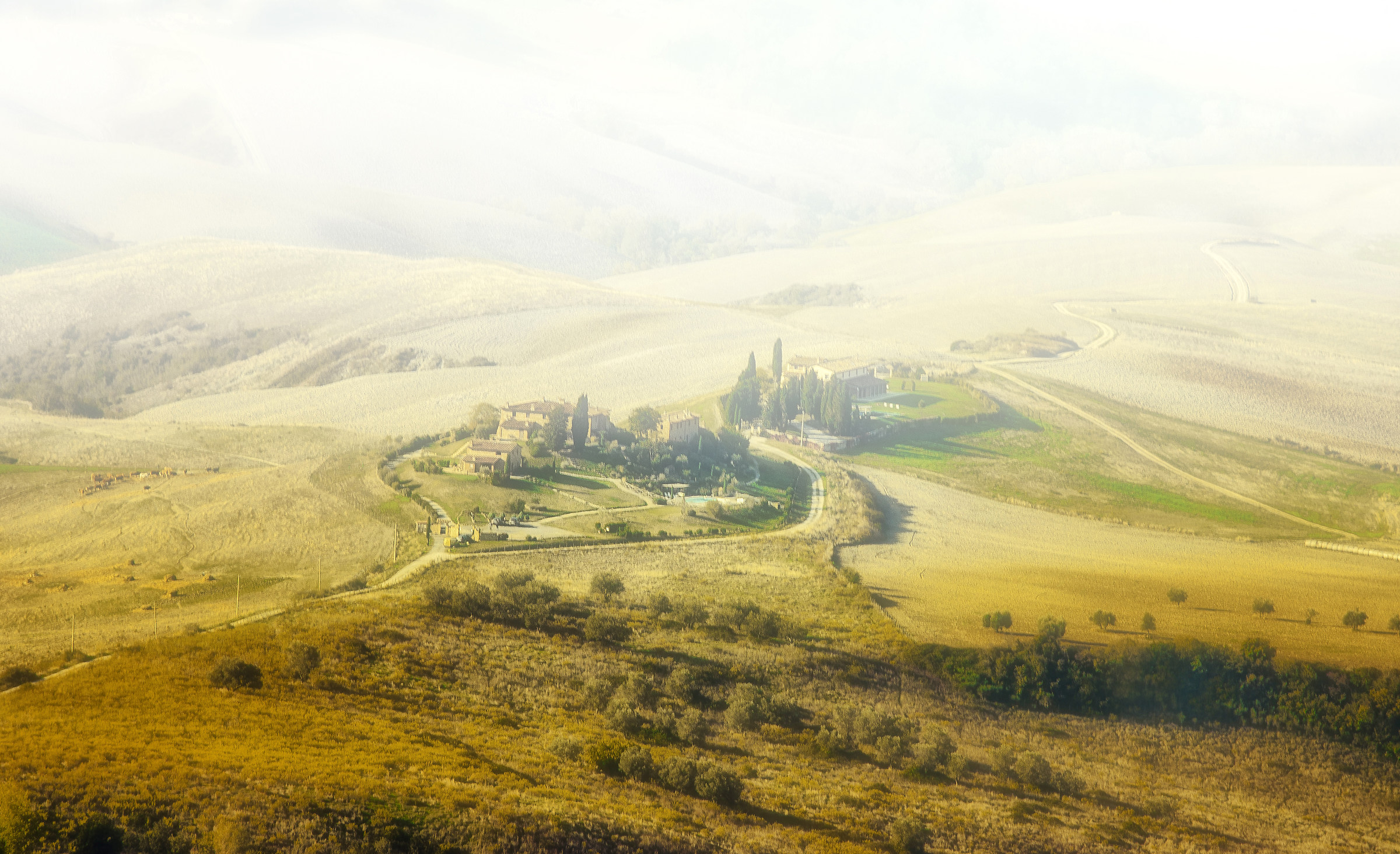 La nebbia agli irti colli.....