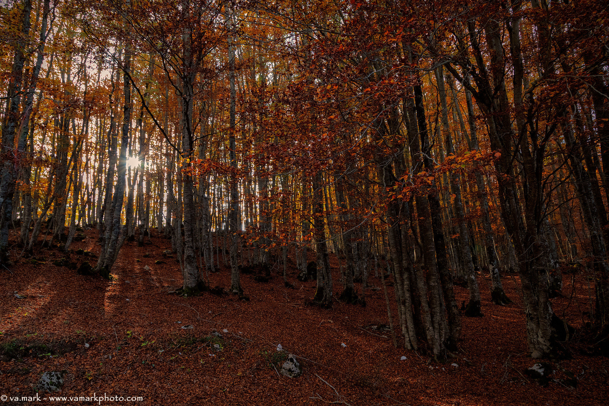 The colors of autumn
