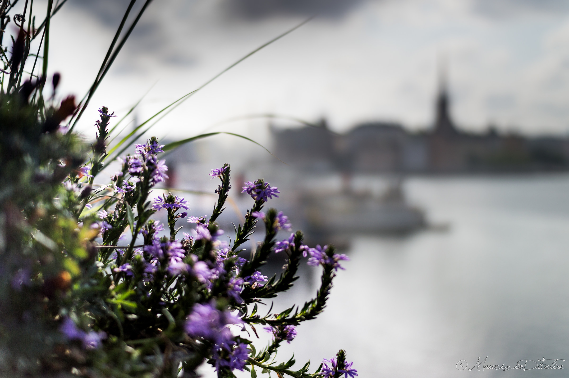 Gamla Stan från stadshusbrön