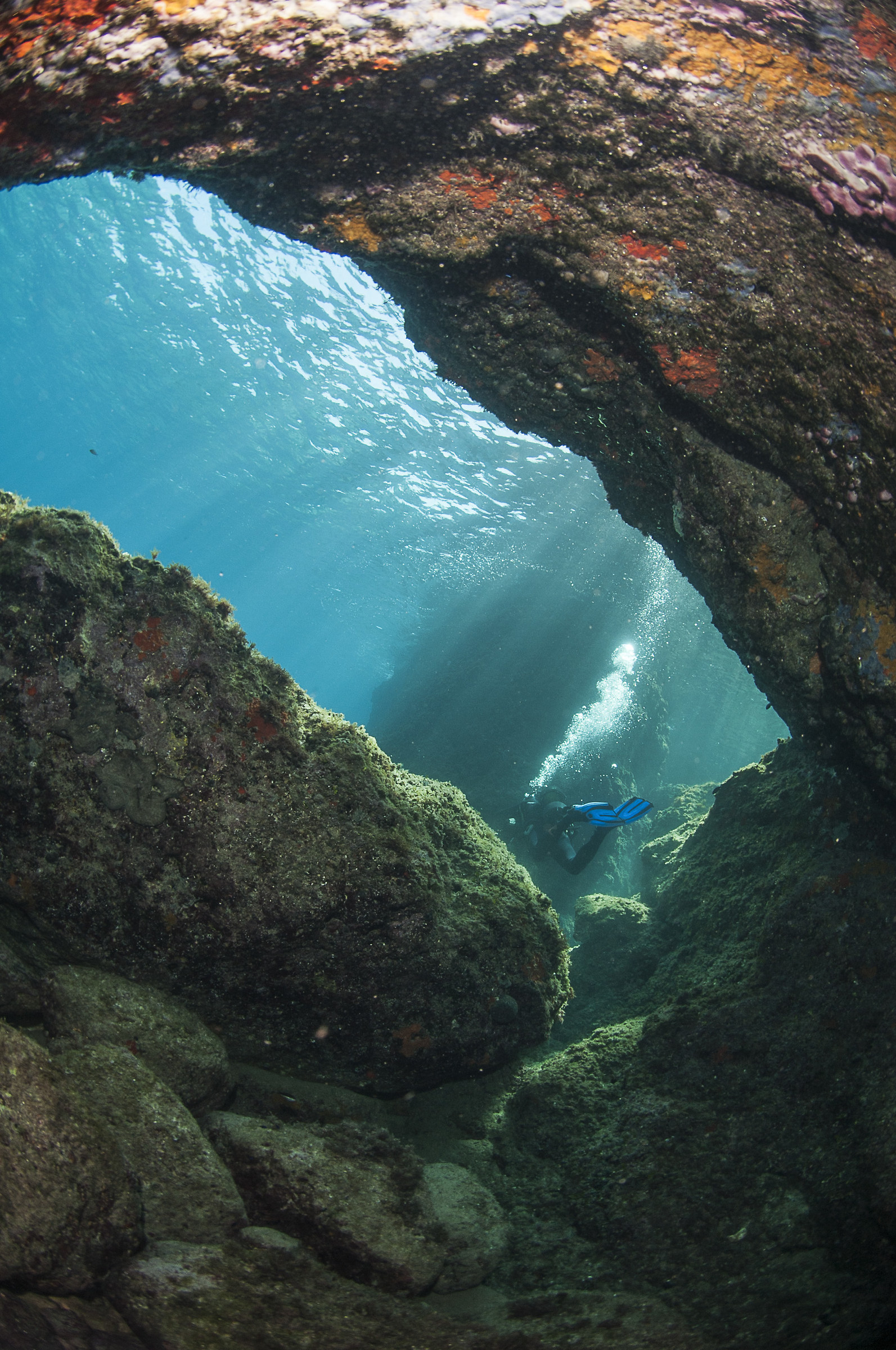 immersione alle Isole Tremiti