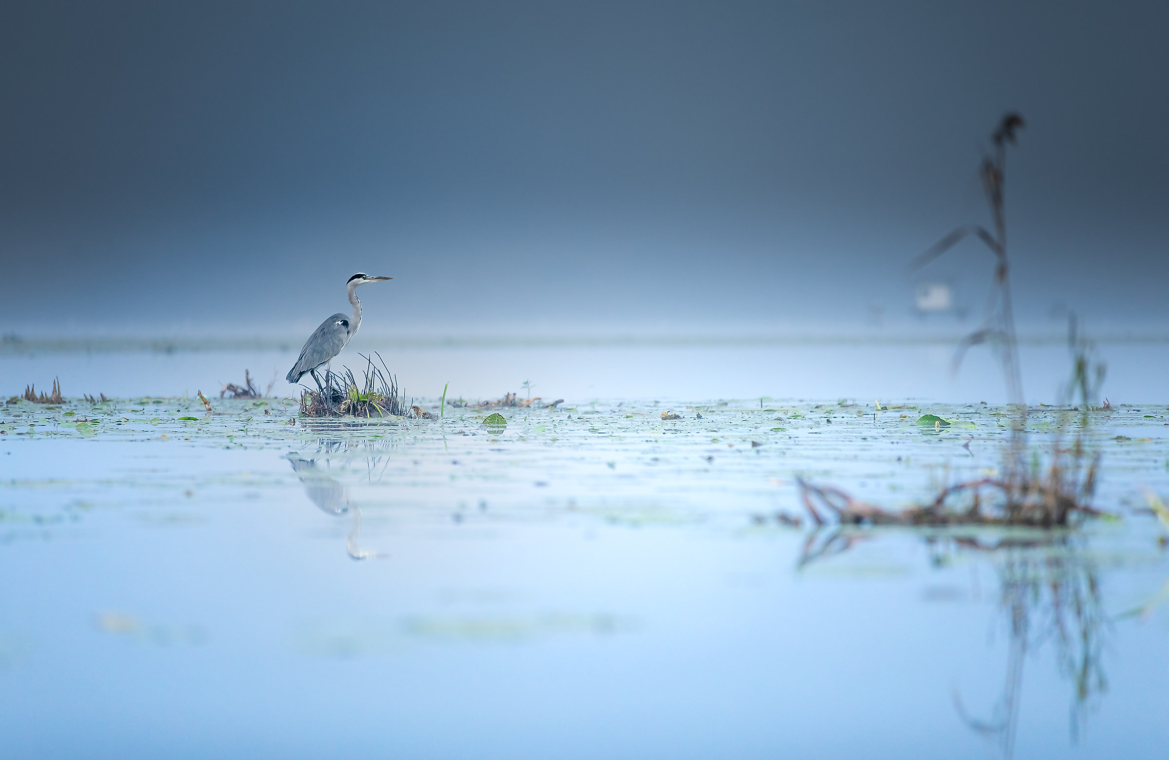 Il silenzio prima degli spari