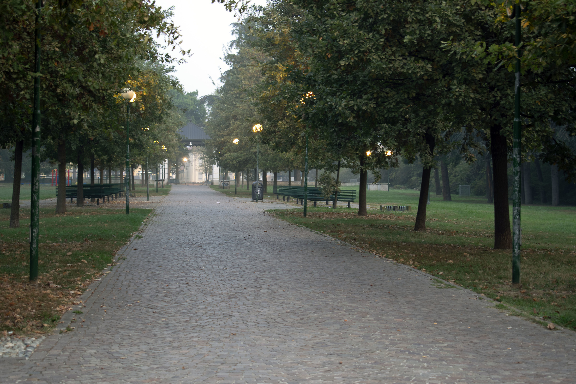 Il viale illuminato.