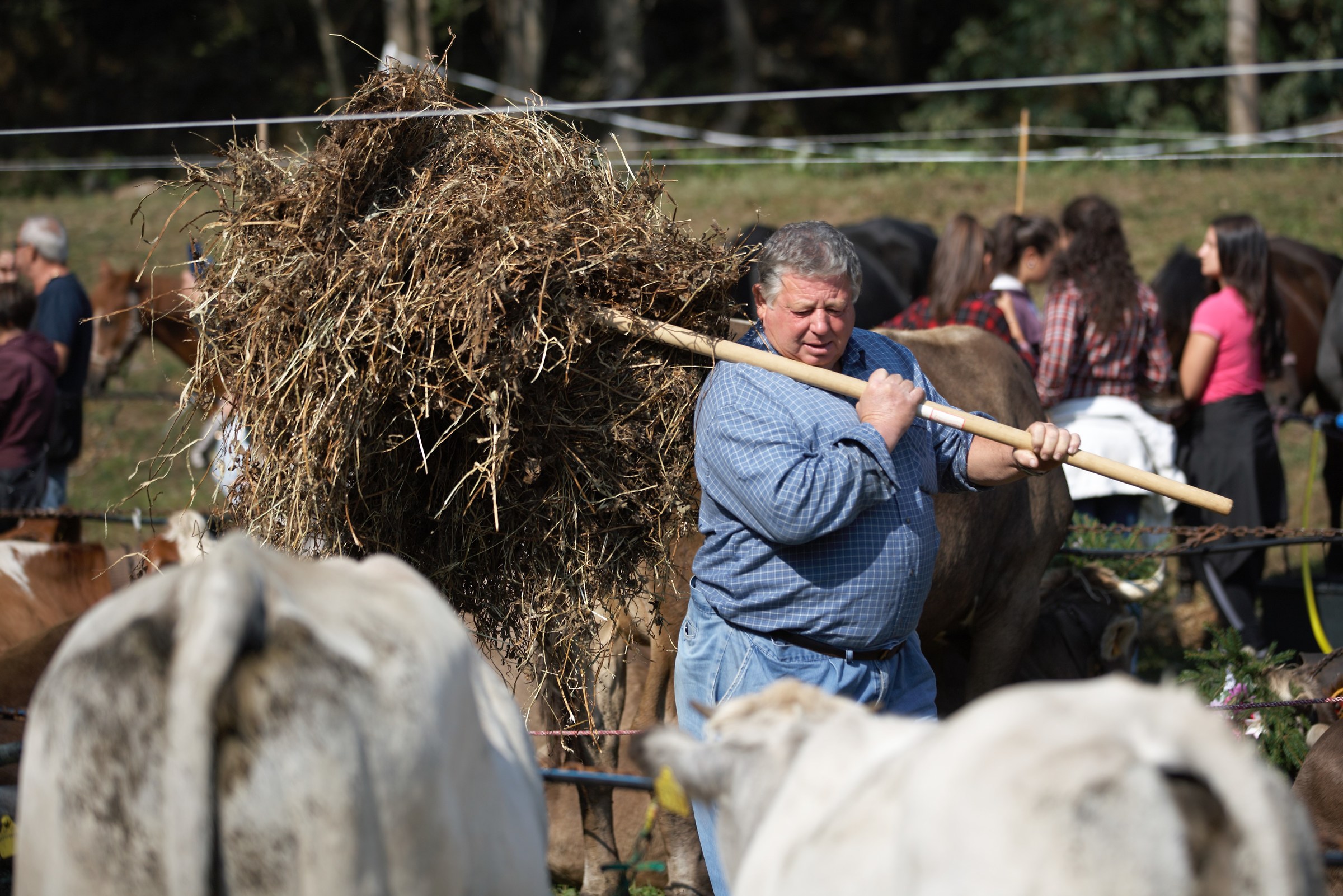 Uomini di montagna 3