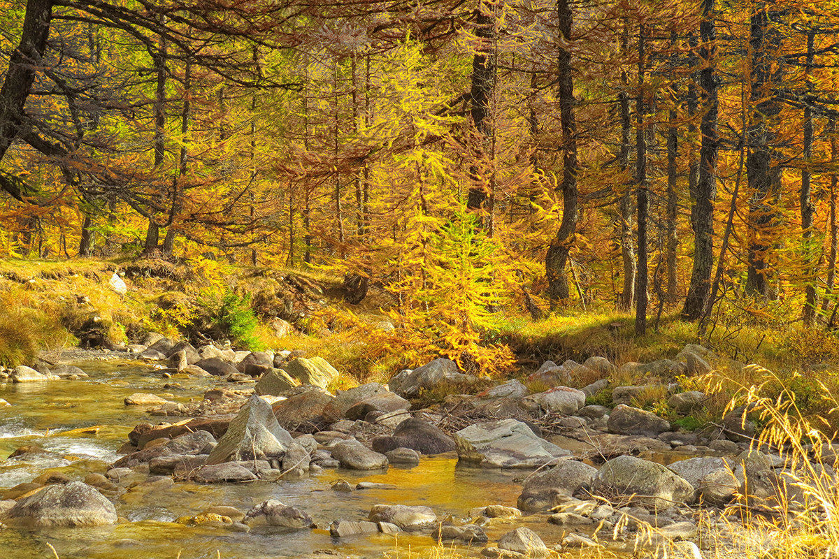 Alpe Veglia ...riflessi