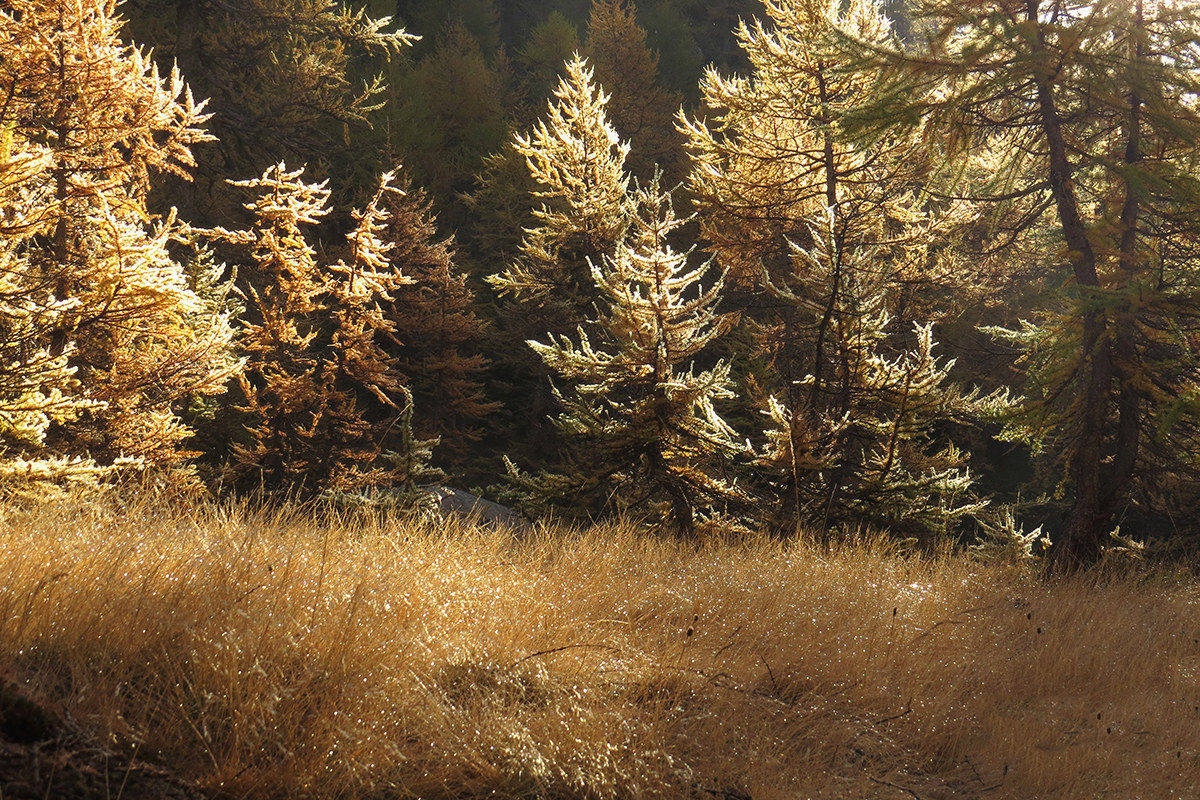 Alpe Veglia ... controluce