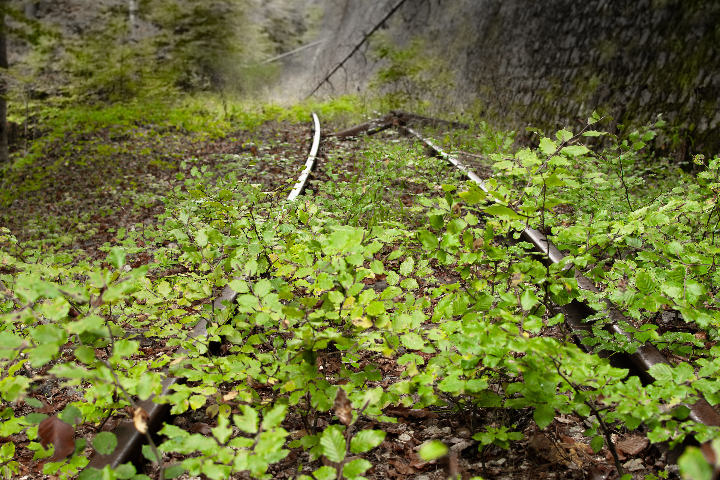 Nature has no memory