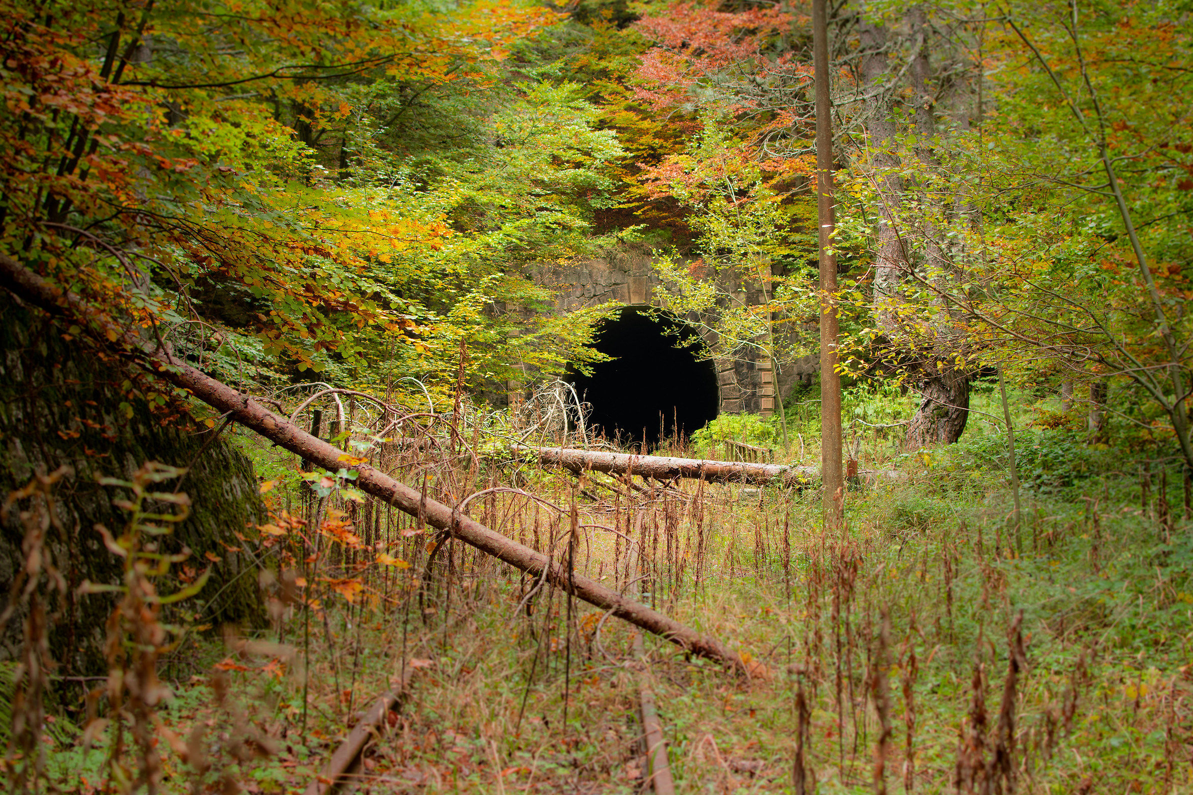 Abandoned Silana Railroad