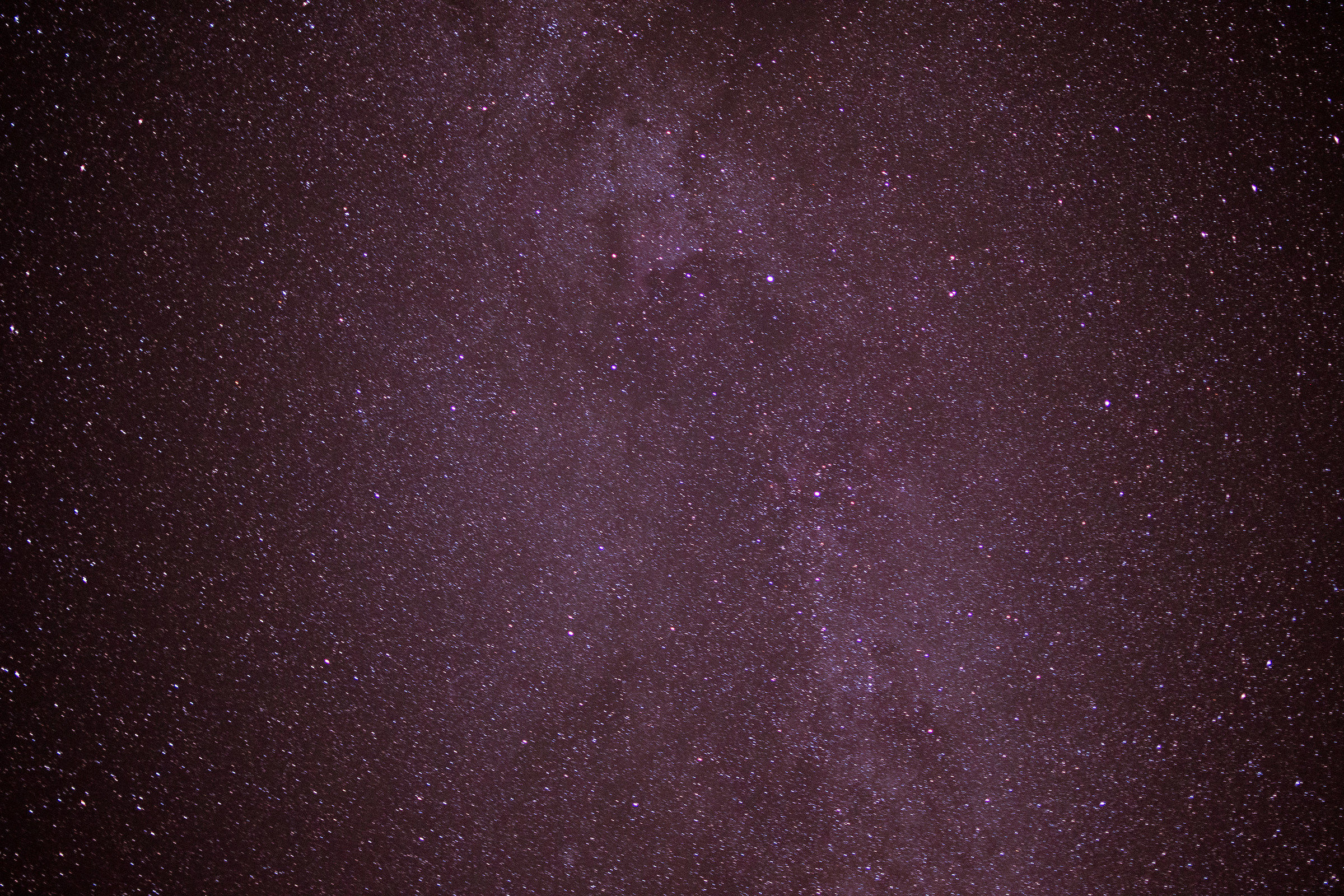 Some stars on the Cecita