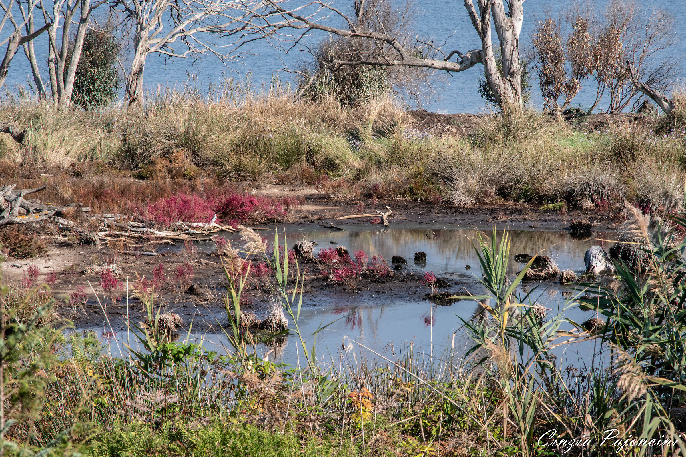 Paludi Pontine, Lago dei Monaci - Sabaudia