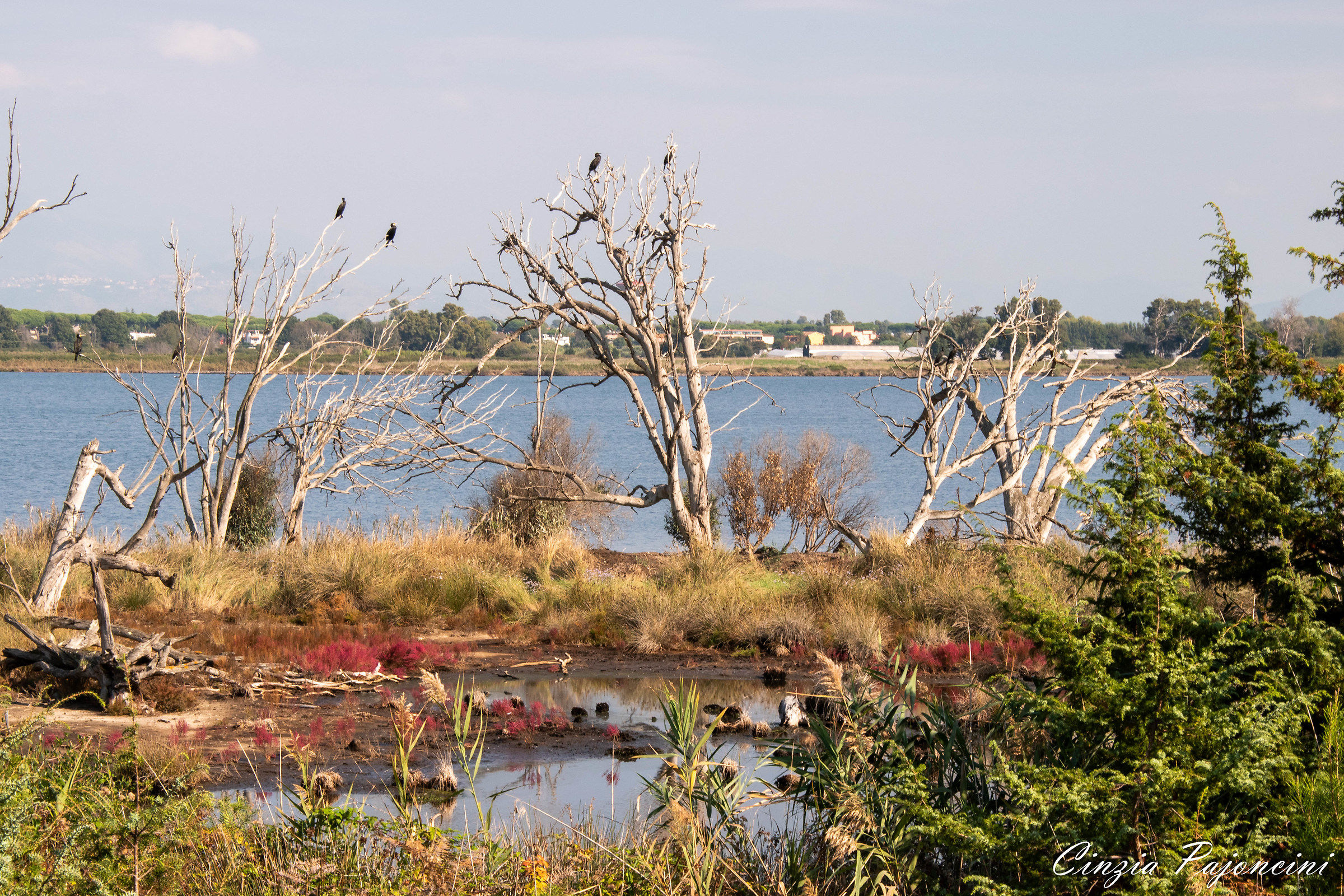 Paludi Pontine, Lago dei Monaci - Sabaudia