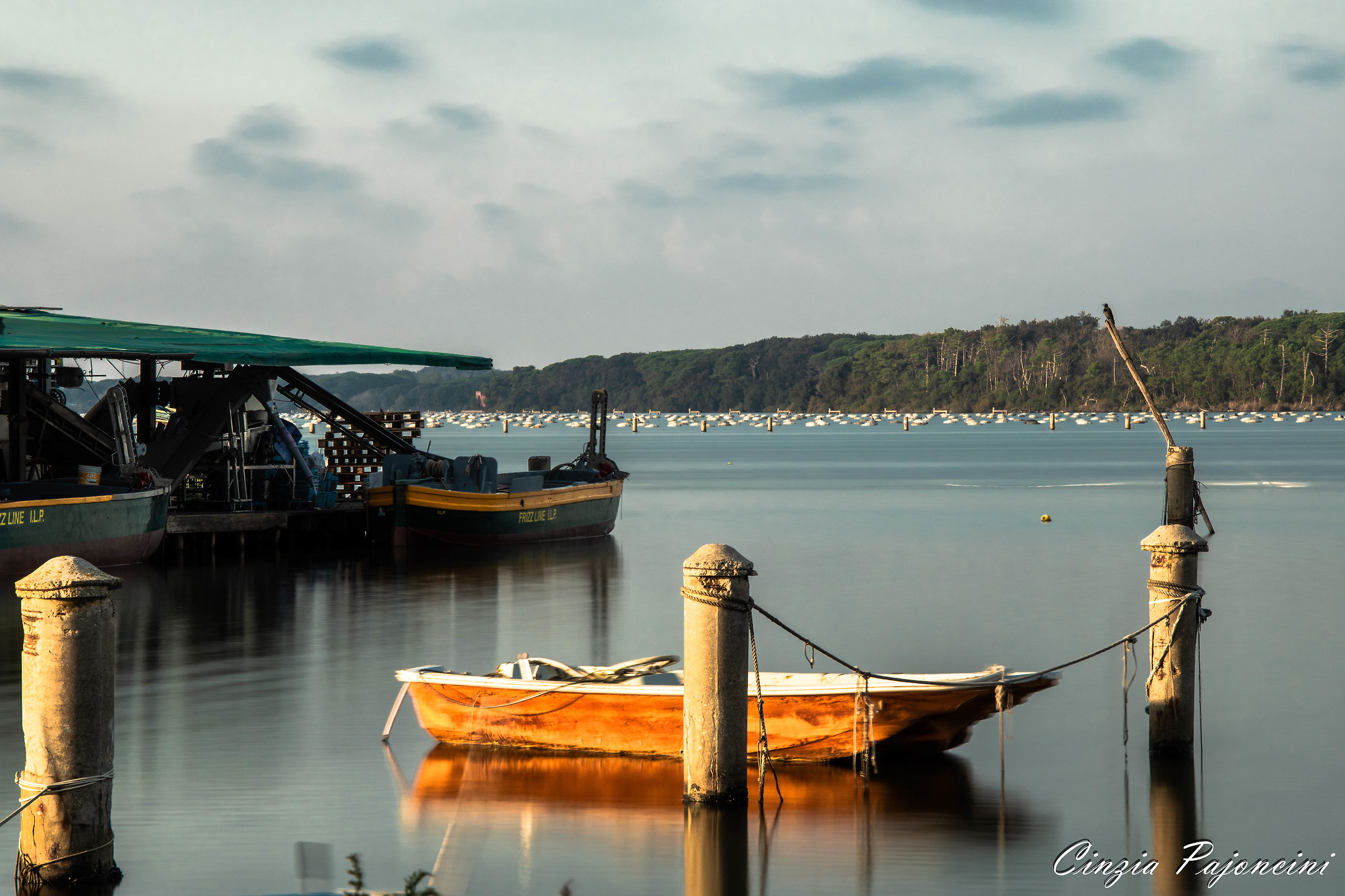 Alla Darsena - Lago di Paola, Sabaudia