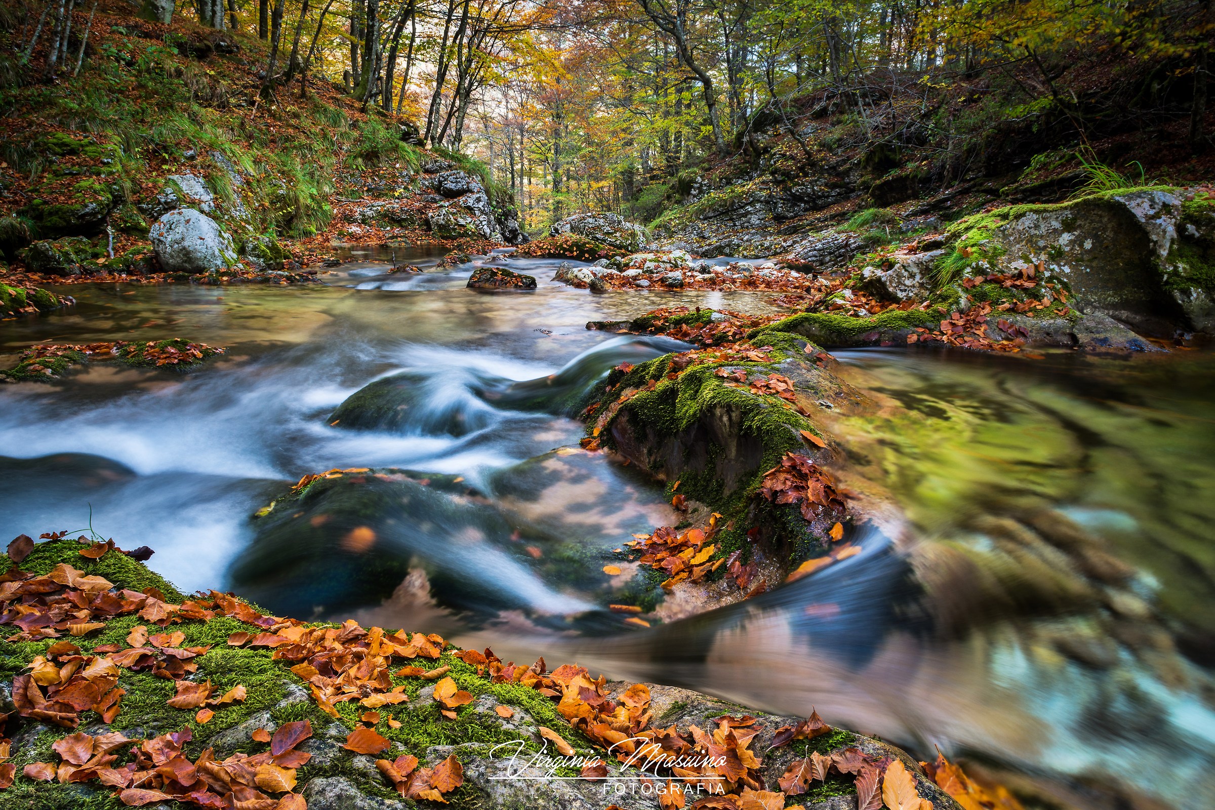Foliage in Val d'Arzino