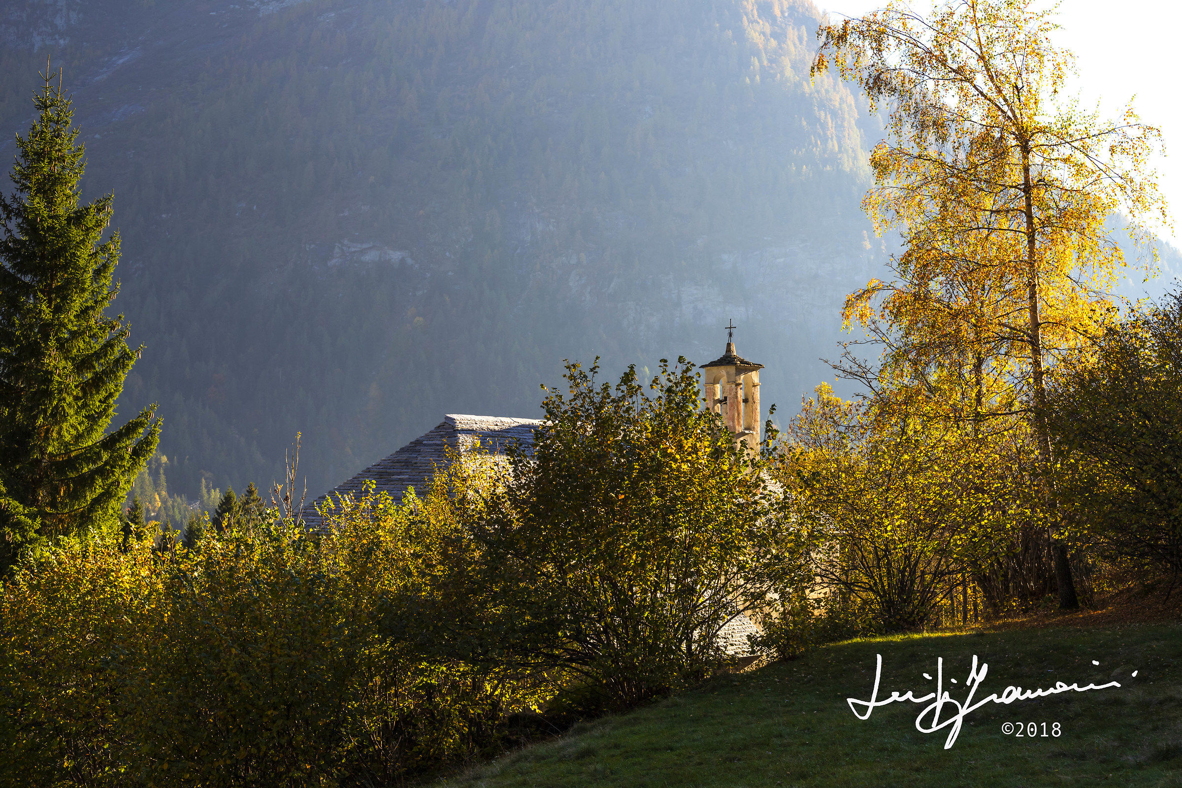 Controluce autunnale
