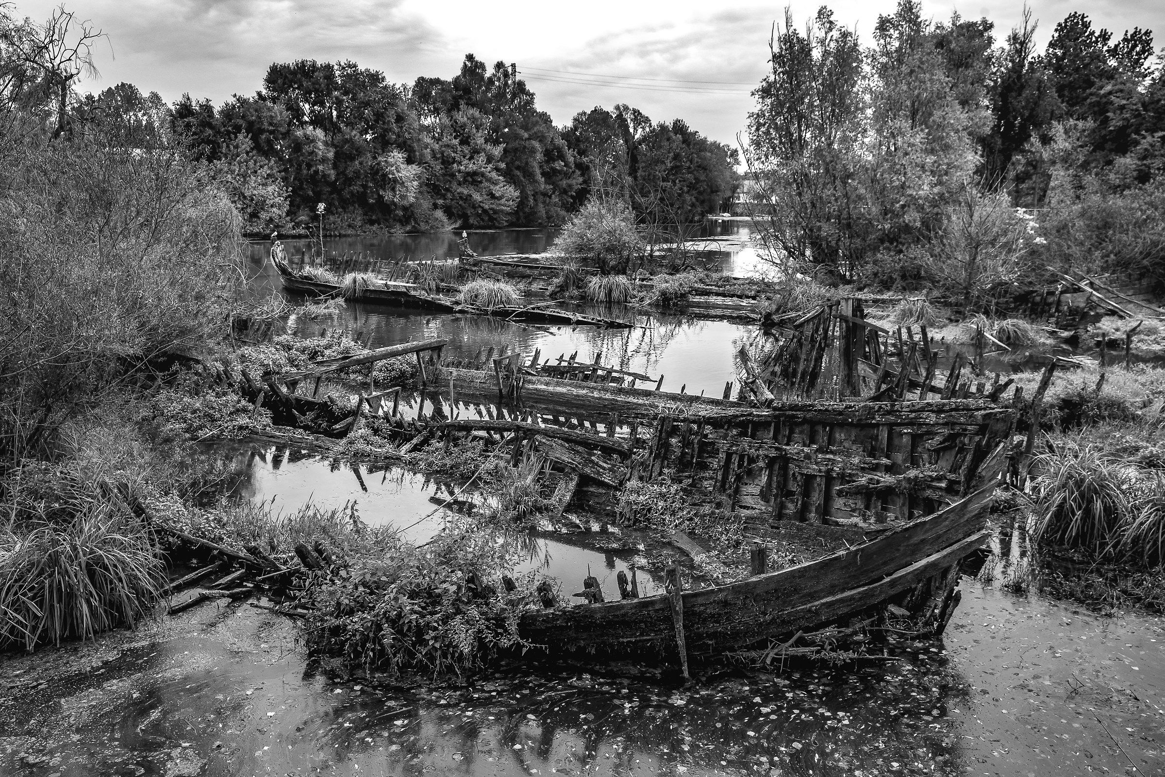 The cemetery of the Burci 2