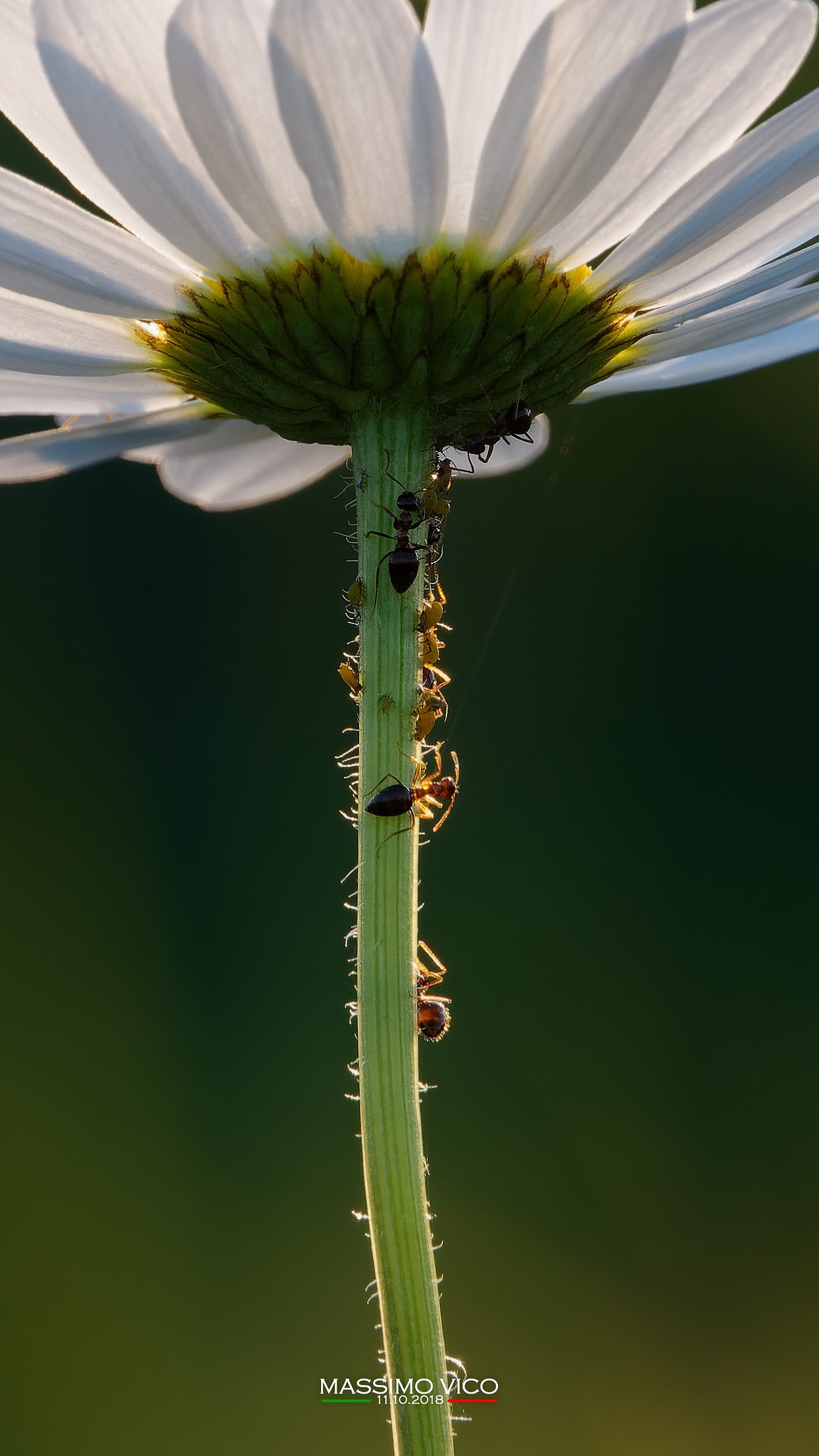 There is life down here