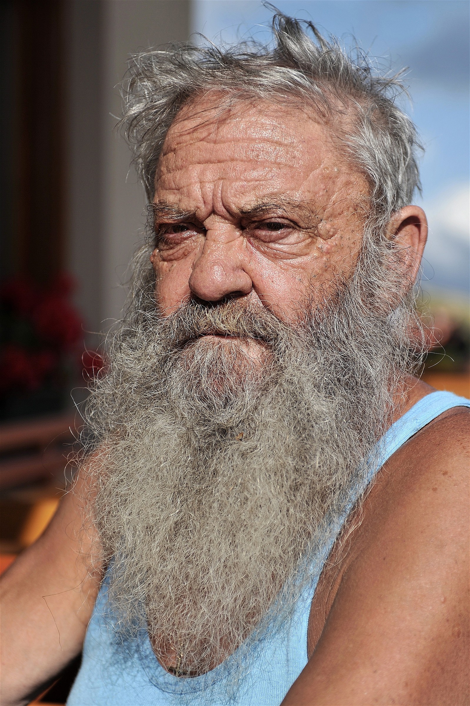 Dolomiti,Passo Giovo: Anziano barbuto