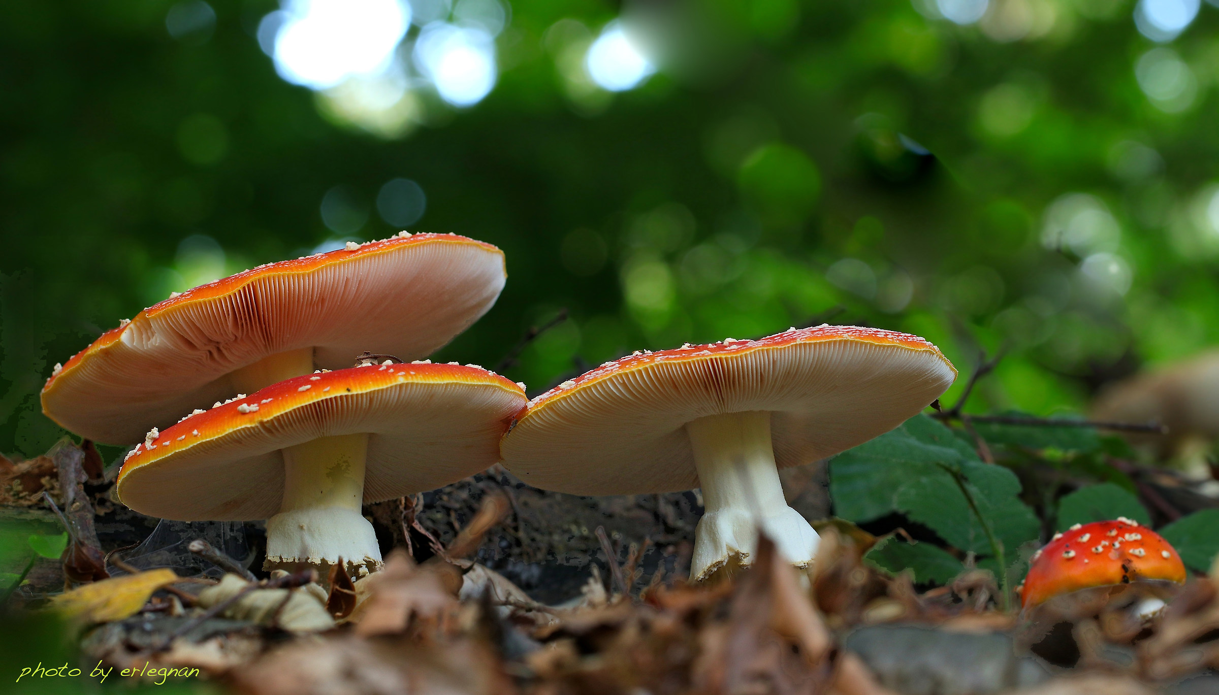 Watch out for those two... or three!!!!