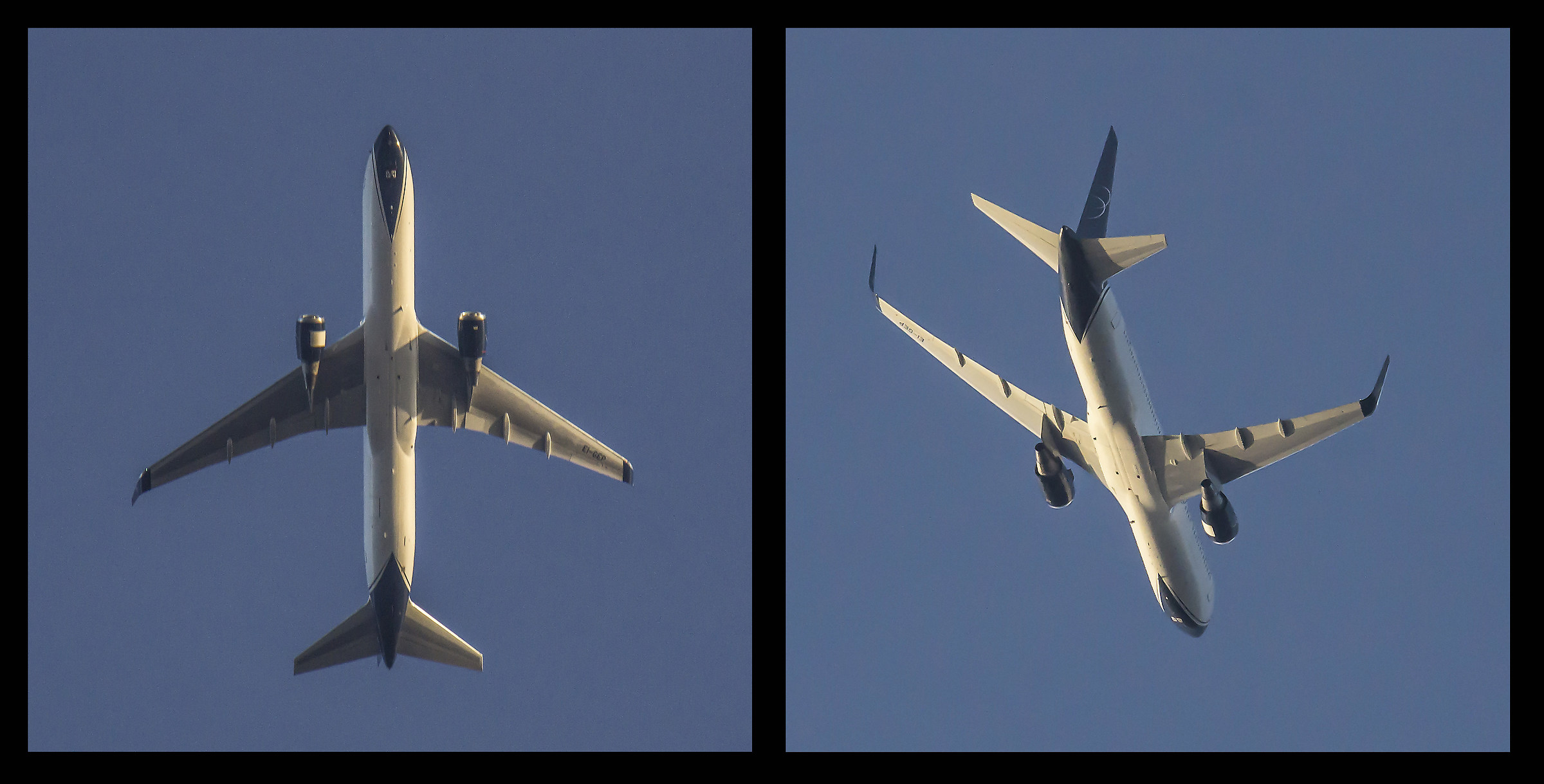Boeing 767-300-Blue Panorama Airlines