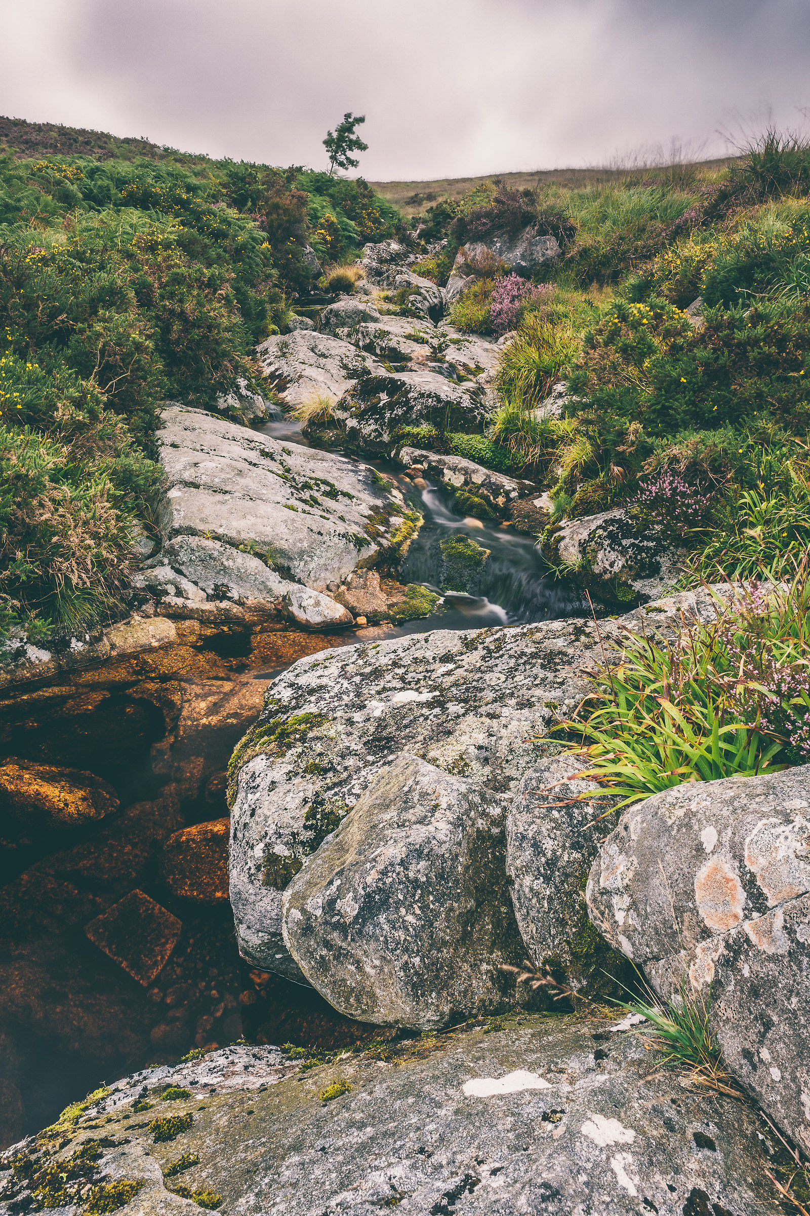 An other river in Sally Gap