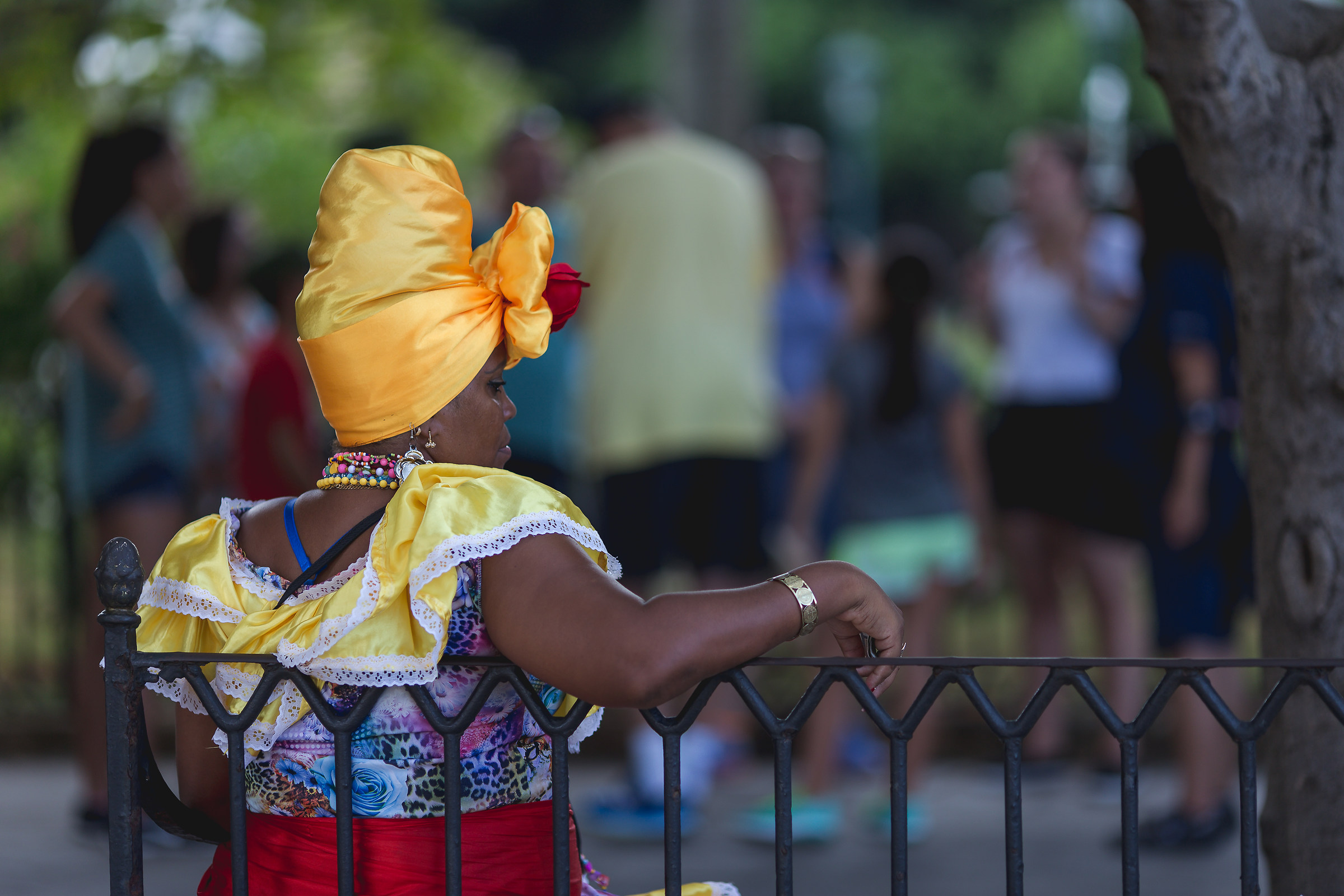On the bench of Plaza de la Catedral