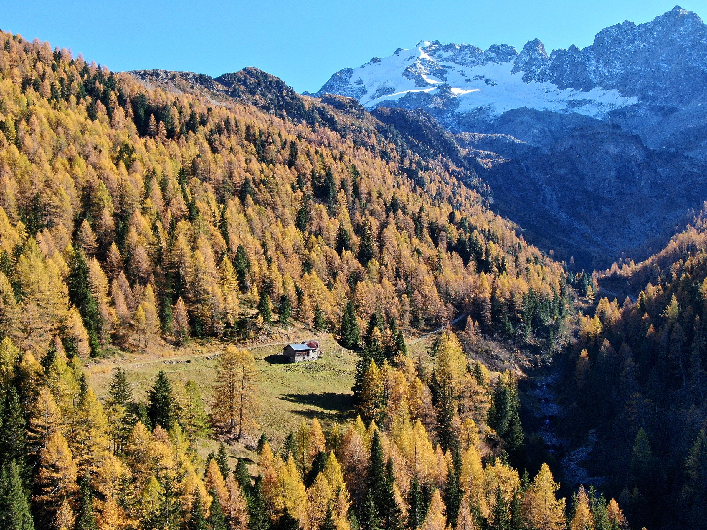 Baita Cardonè Autunno