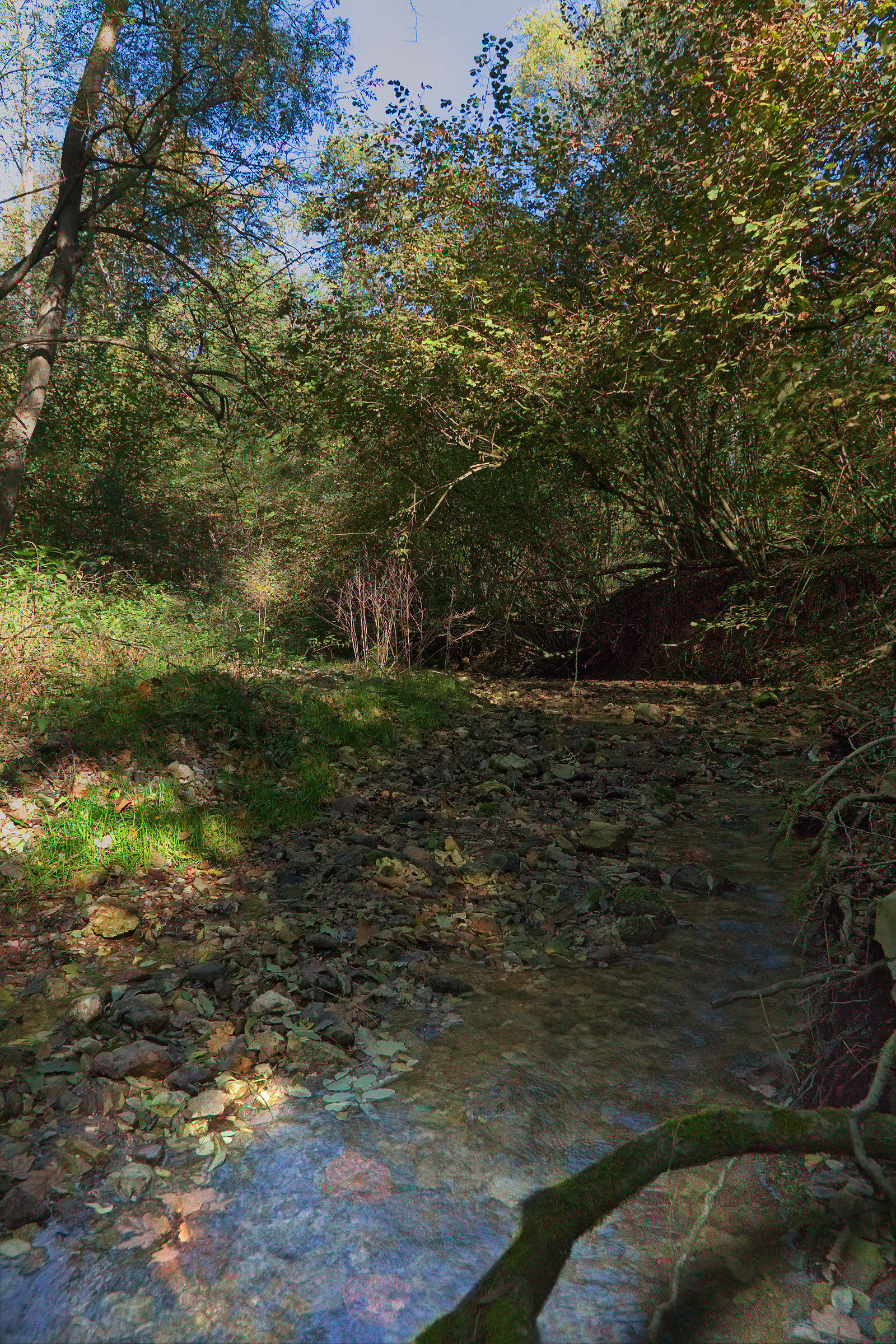Rio Cavallaro con uno sprazzo di sole
