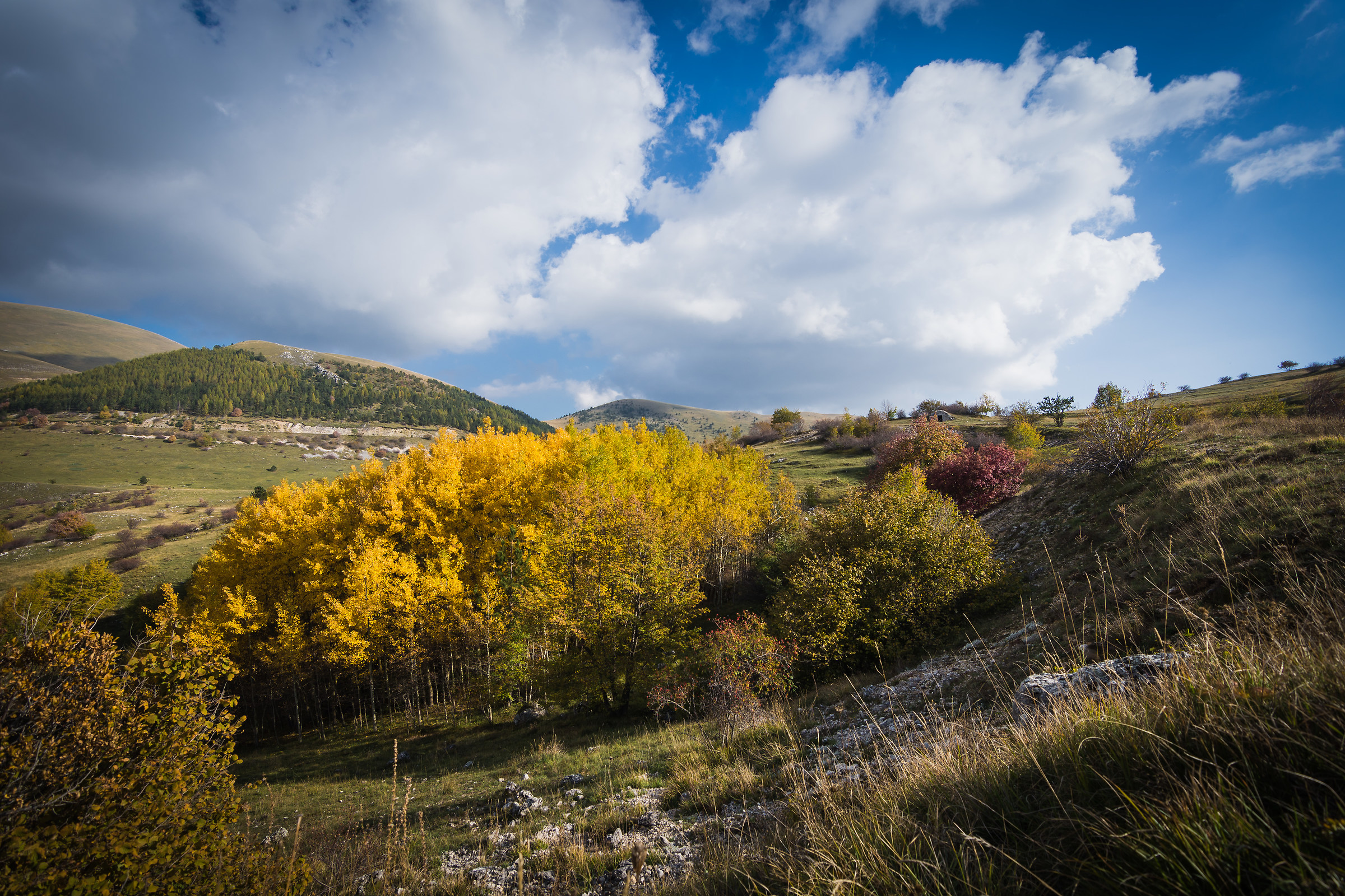 Autumn at Emperor Camp