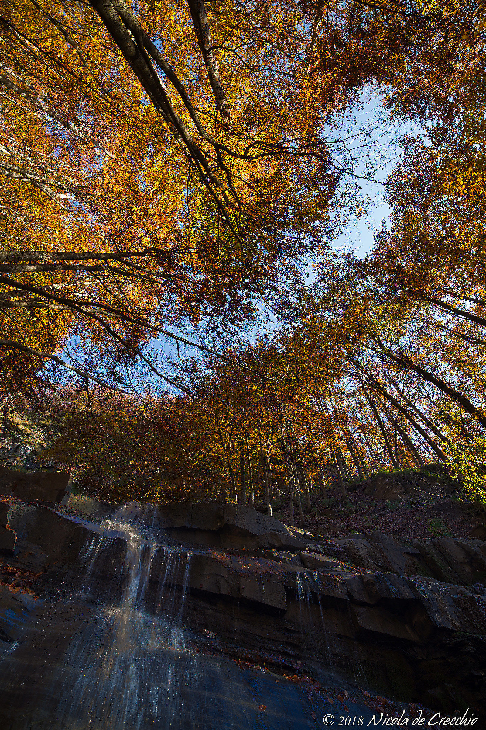 L'autunno tutto attorno