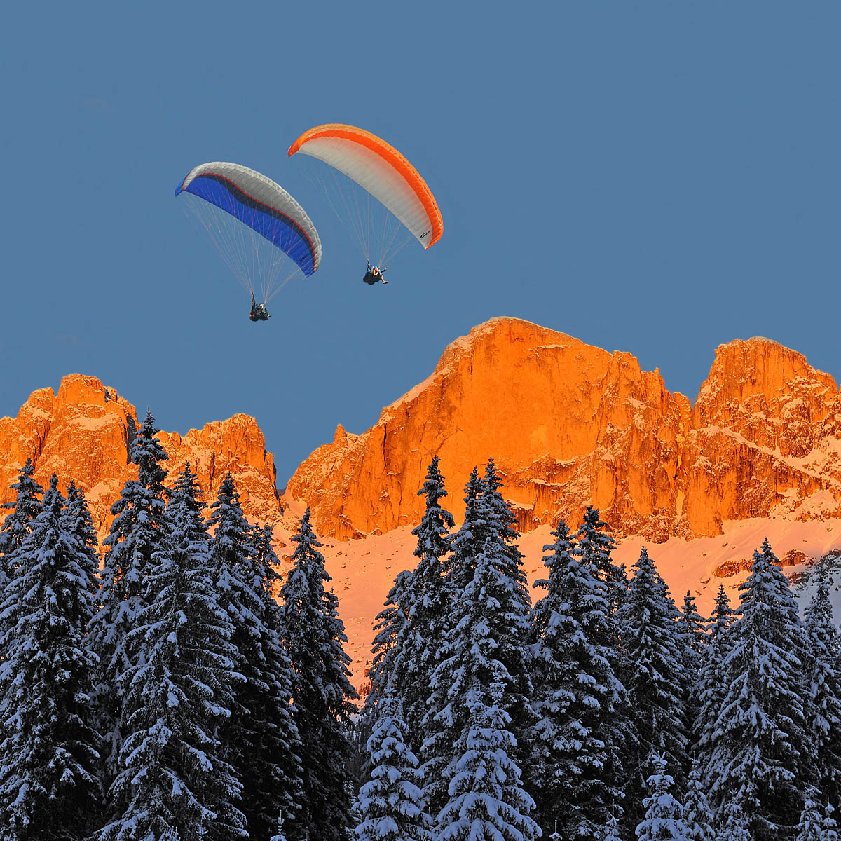 Rosengarten & parapendii