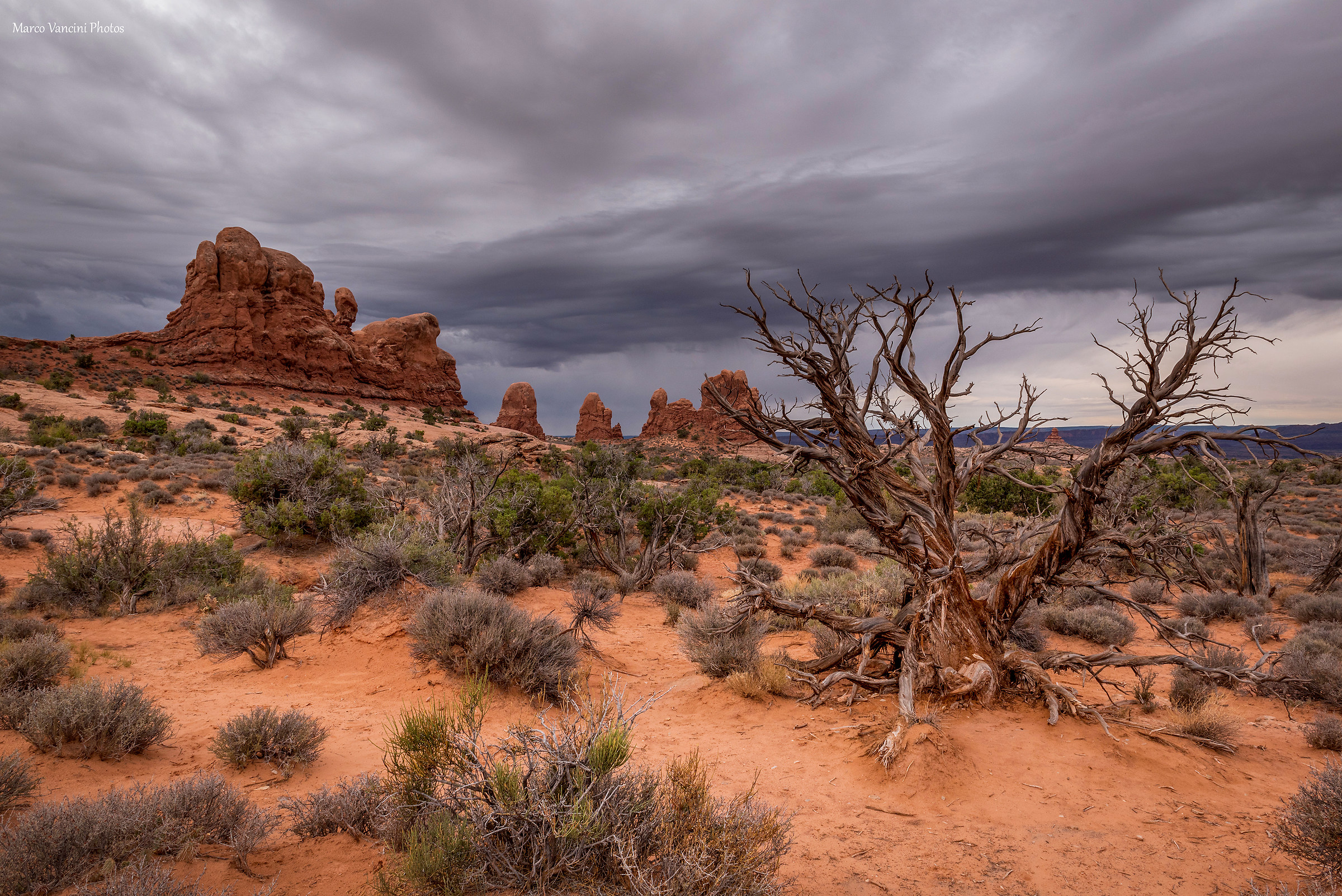Arches National Park