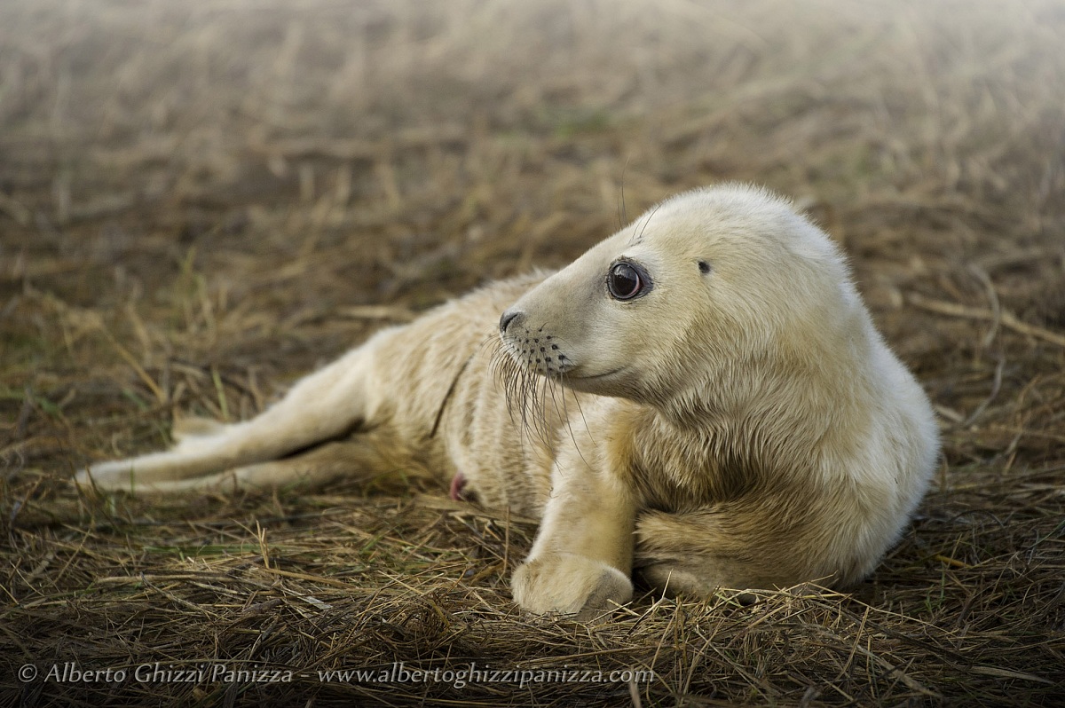 Due giorni di vita e tanto entusiasmo...