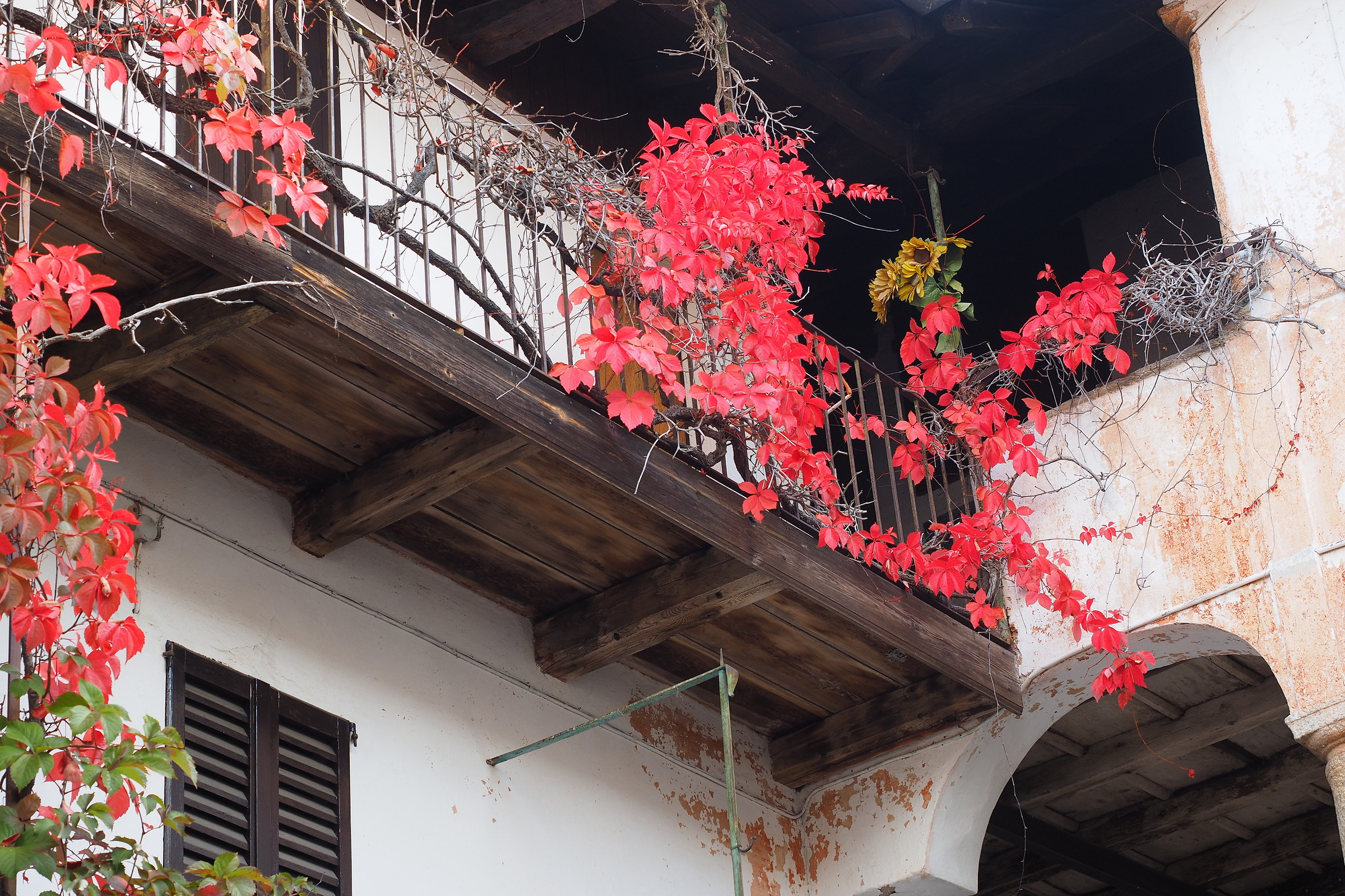 flowered balcony