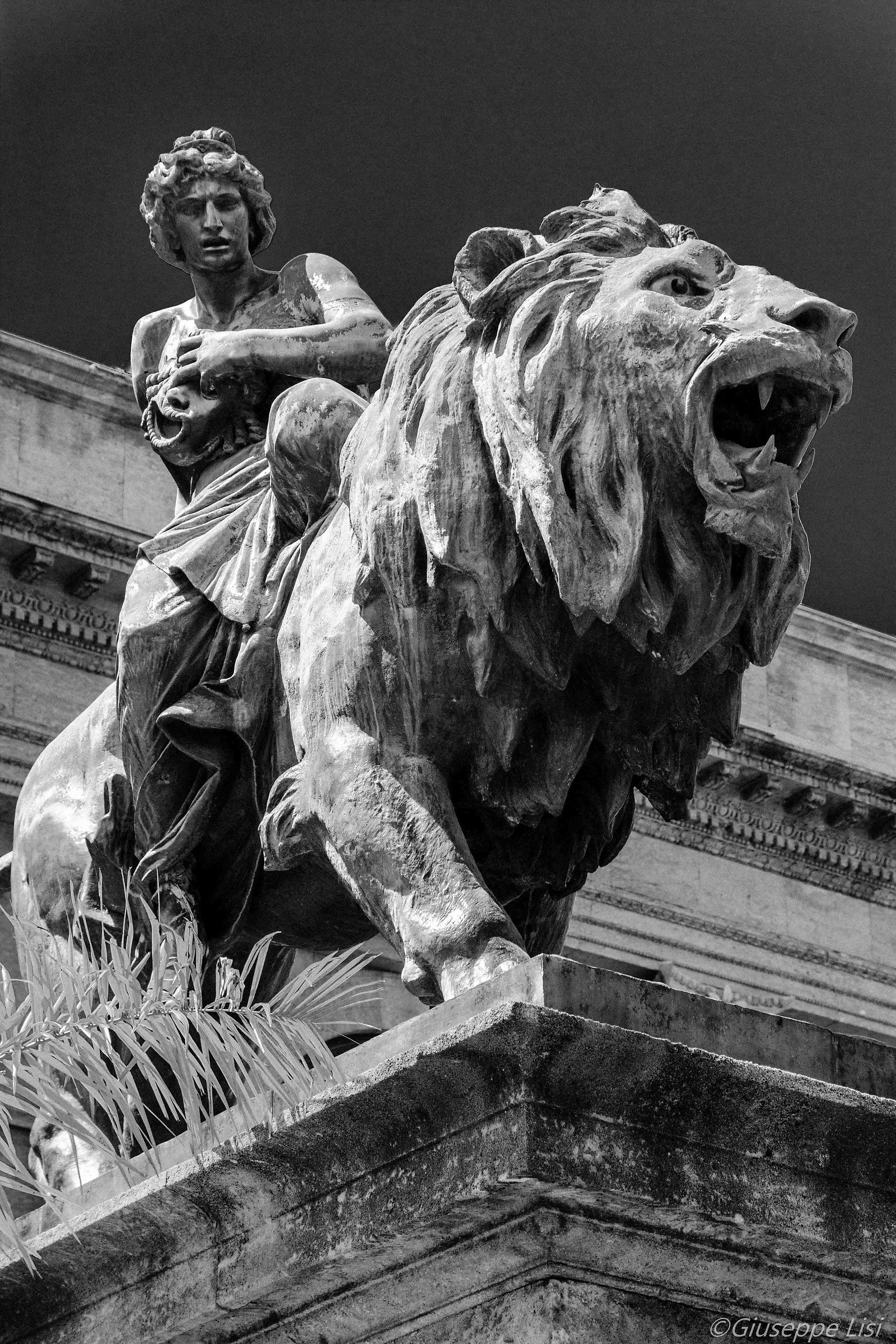 I leoni del teatro Massimo