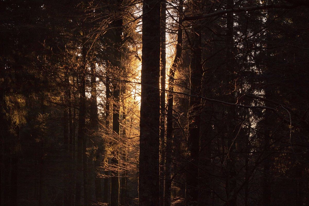 Lascia spazio all'immaginazione