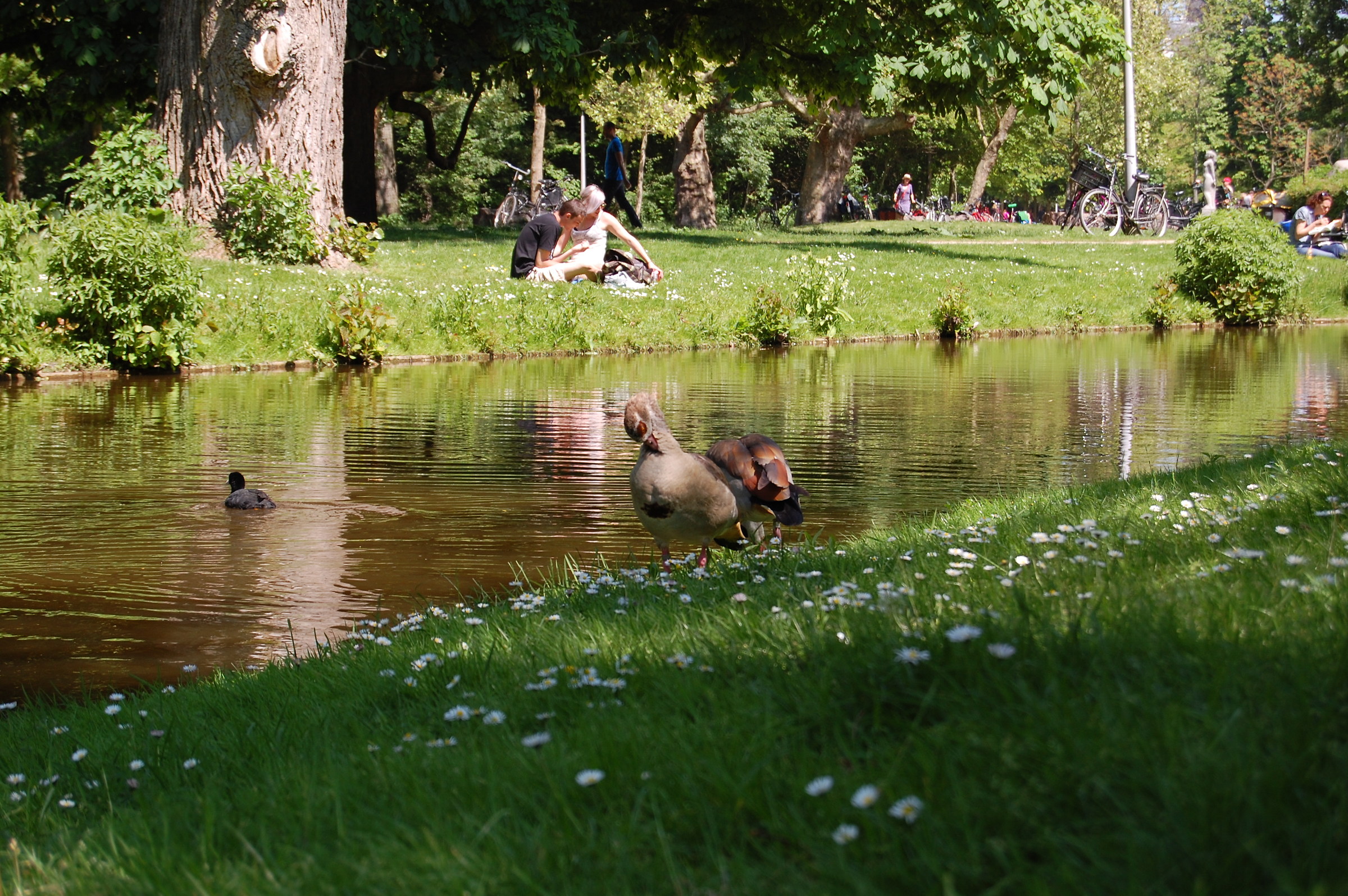 ... -vondelpark amsterdam