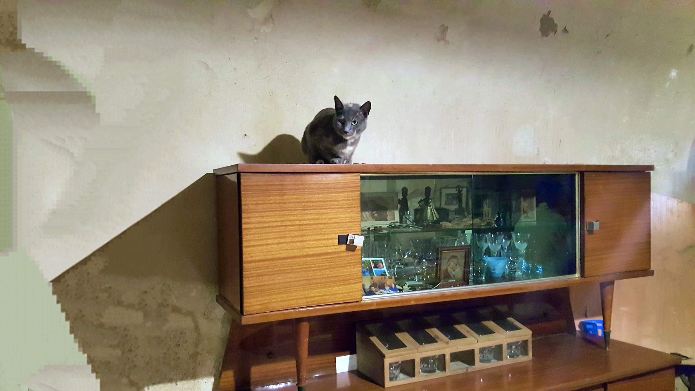 The Little Lookout race