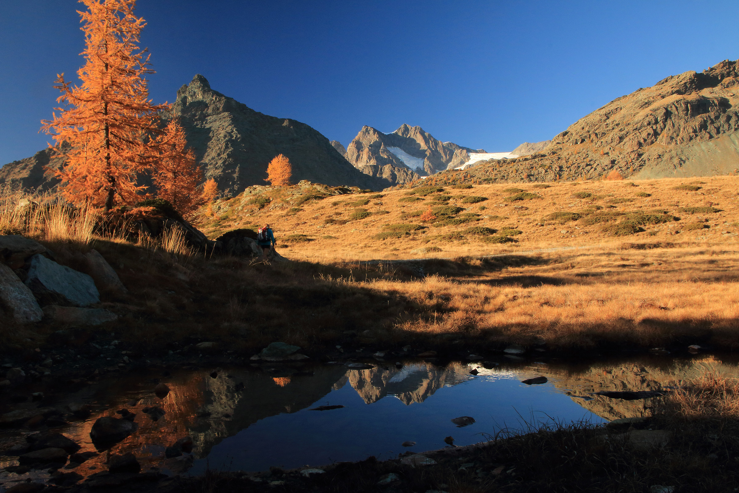 Autumn-Towards the Palù