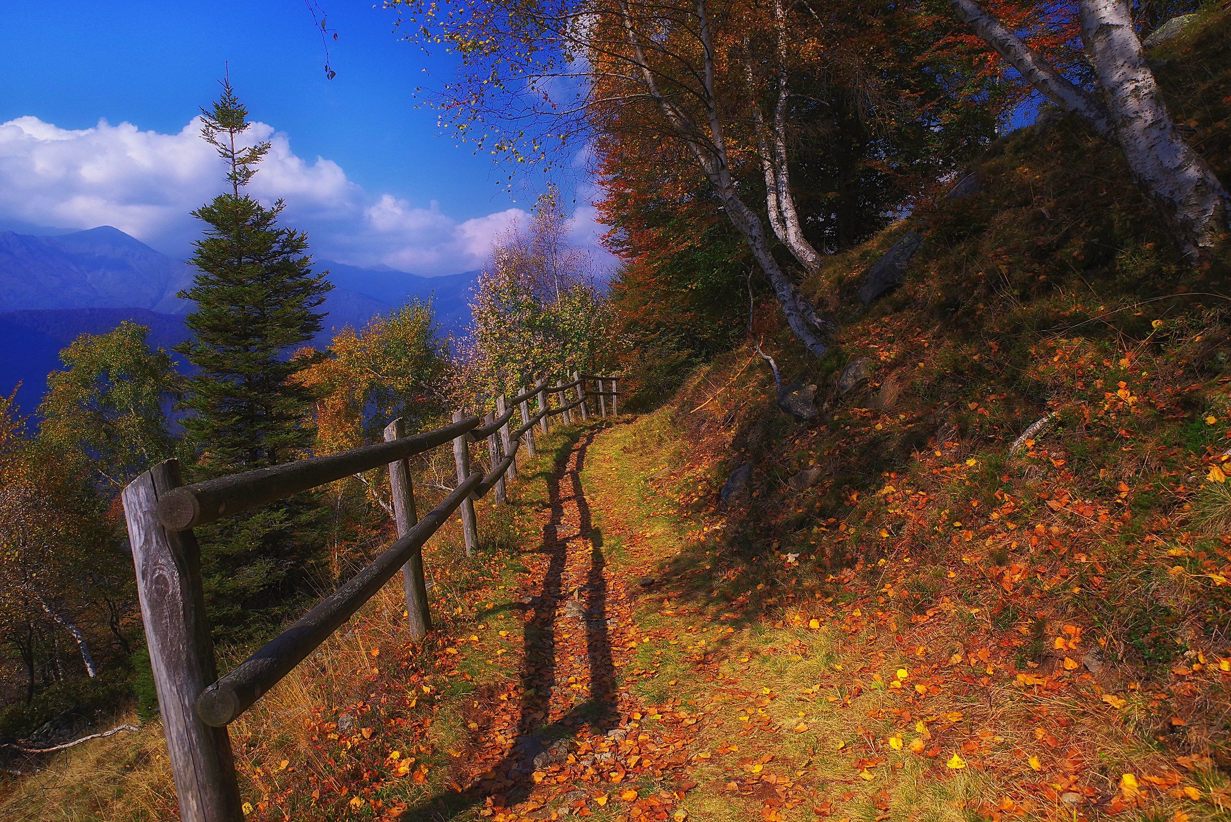 A spasso sulla panoramica Zegna