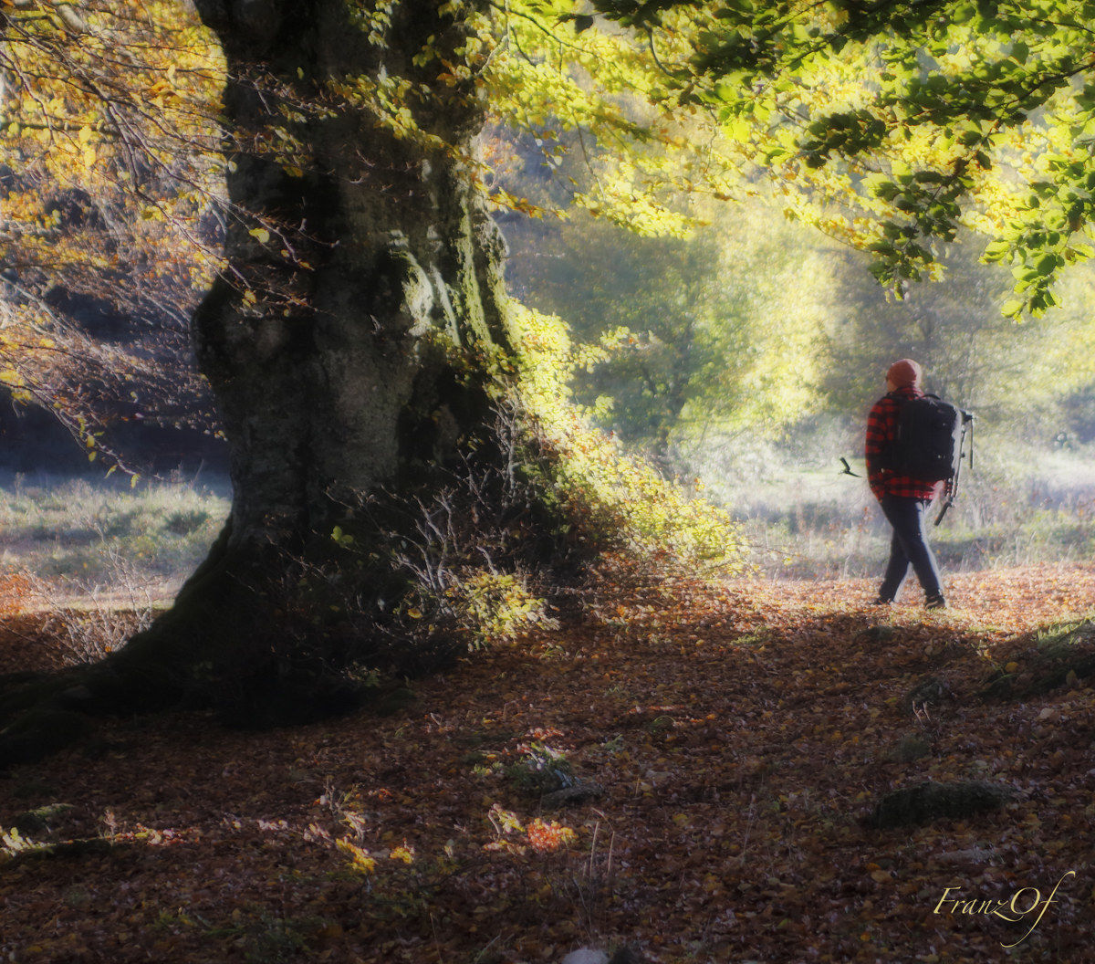 Photographer in Canfaito