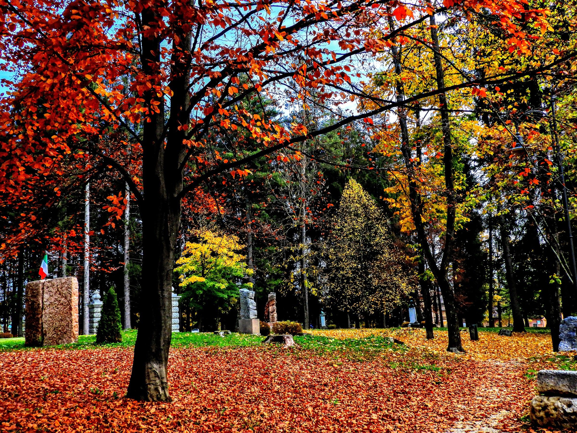 Foliage in un piccolo parco ad Asiago