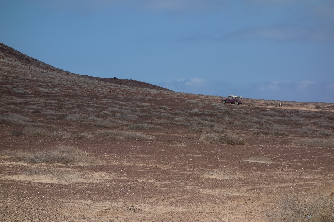 Safari a La Graciosa
