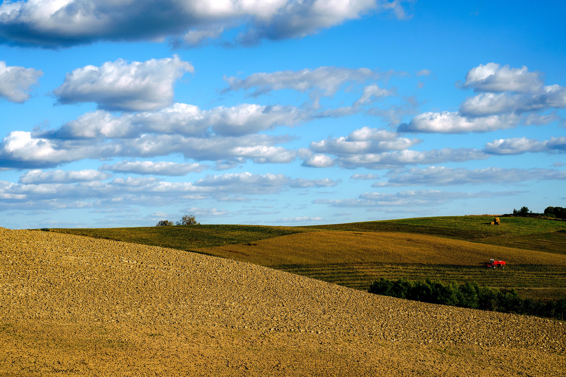 Dipintori....della Terra