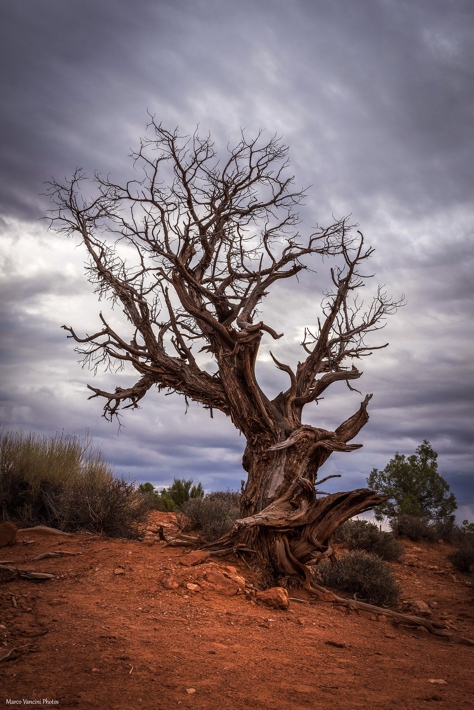 La dura vita nel deserto