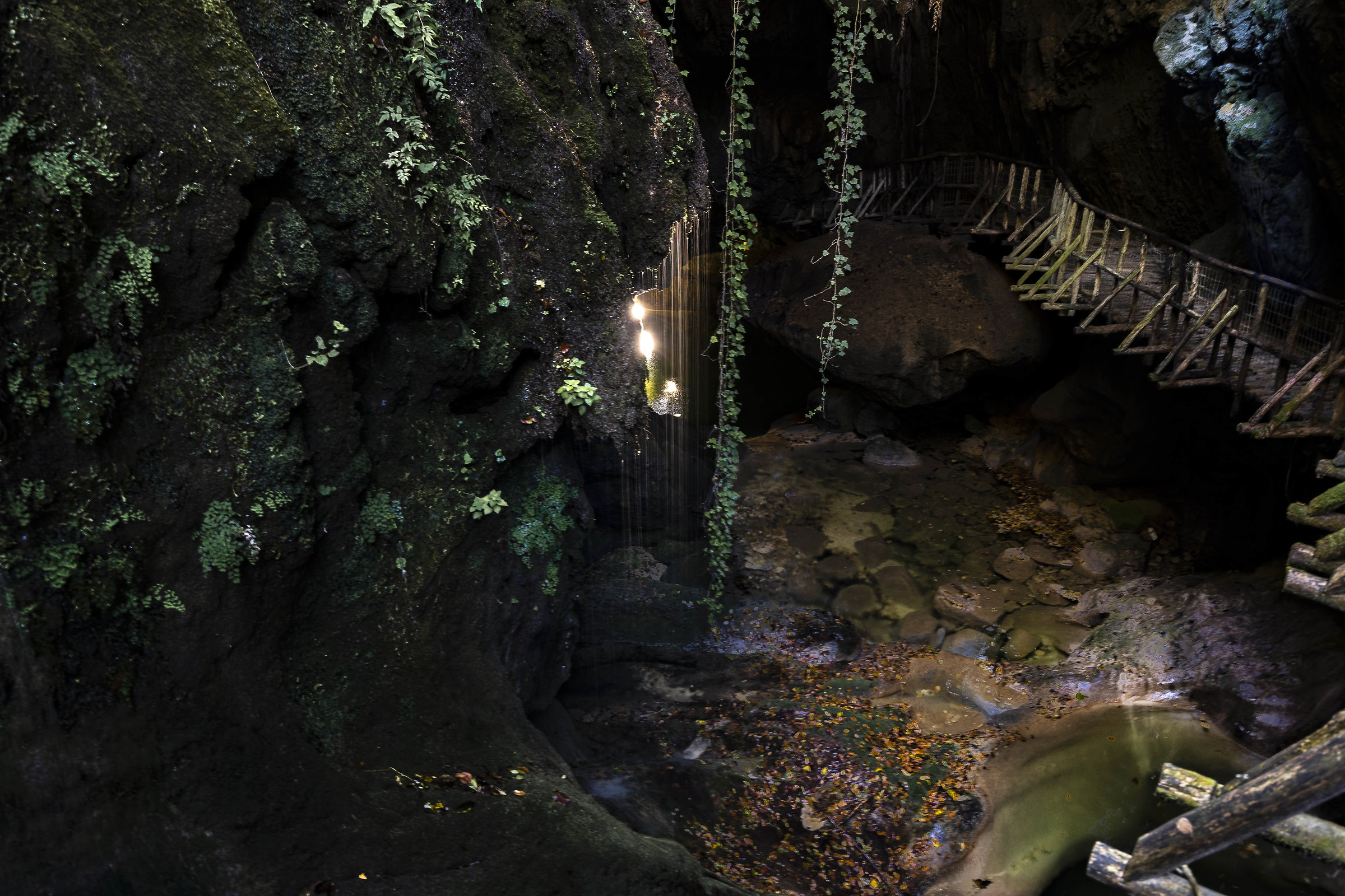 Nel salotto delle fate