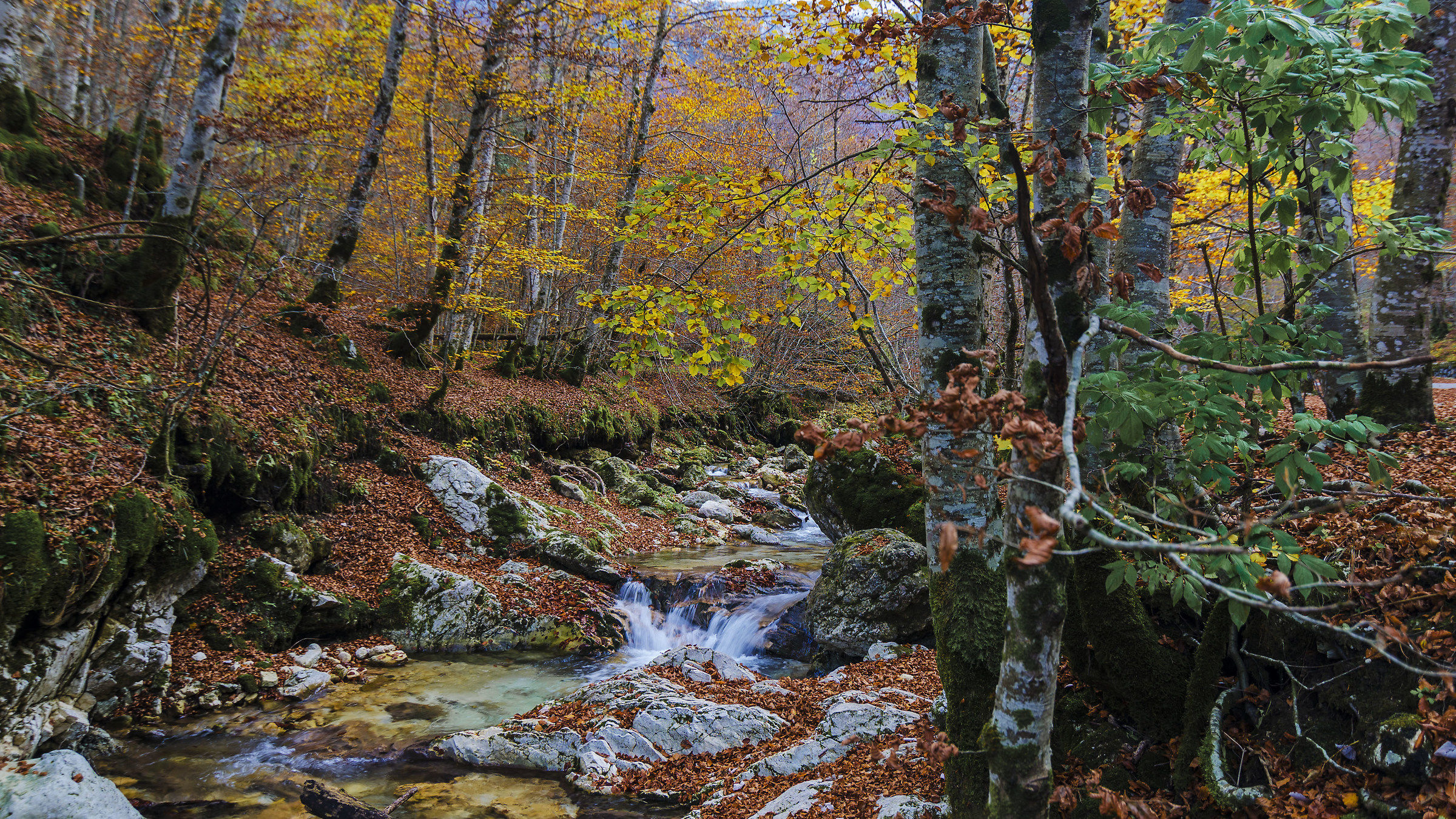 Torrente Scerto - Camosciara