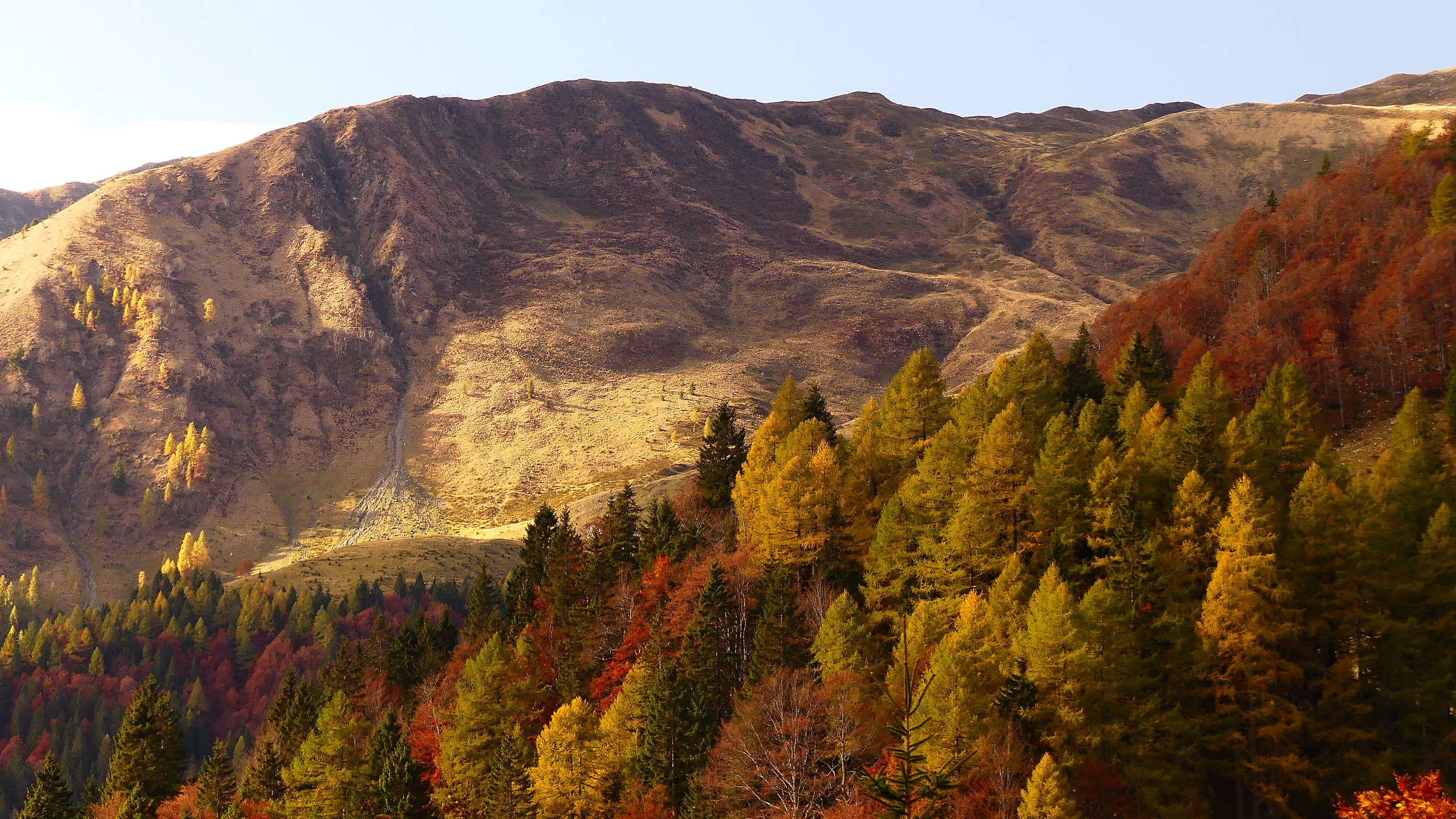 Esplosione d'autunno