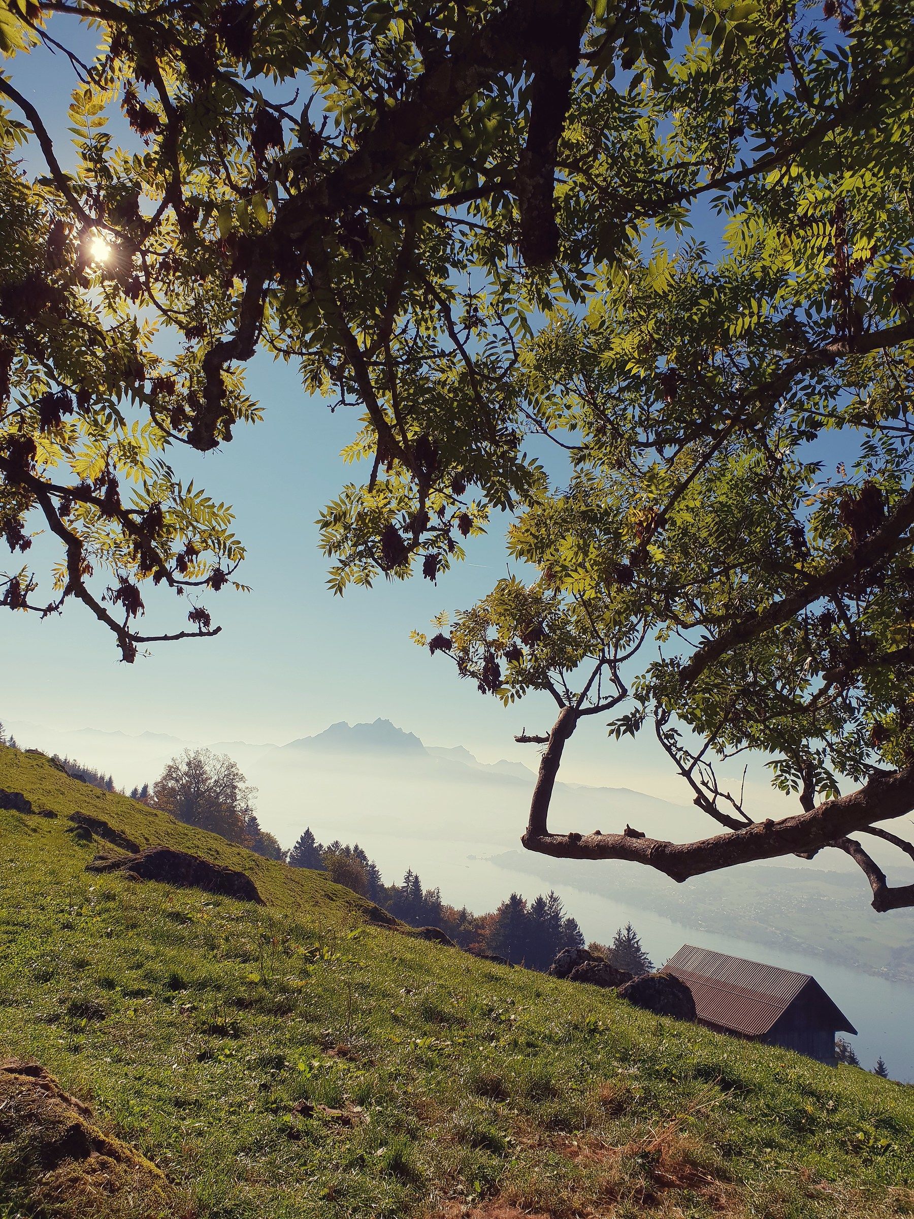 Seebodenalp Switzerland