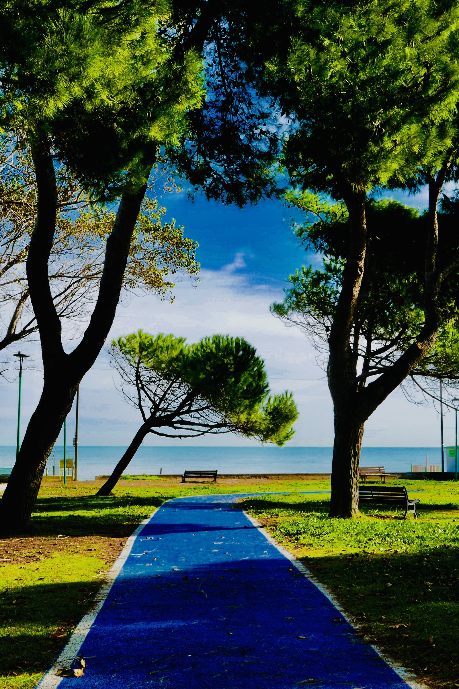 La strada per il mare.