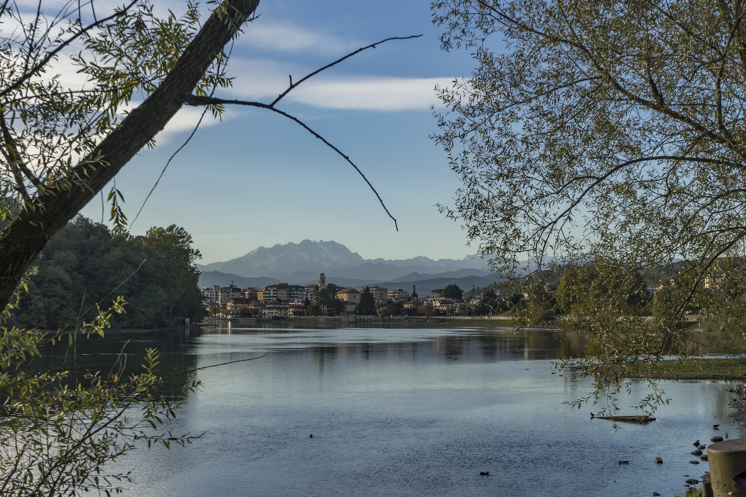 Mercoledì 24 ottobre 2018, 17:26